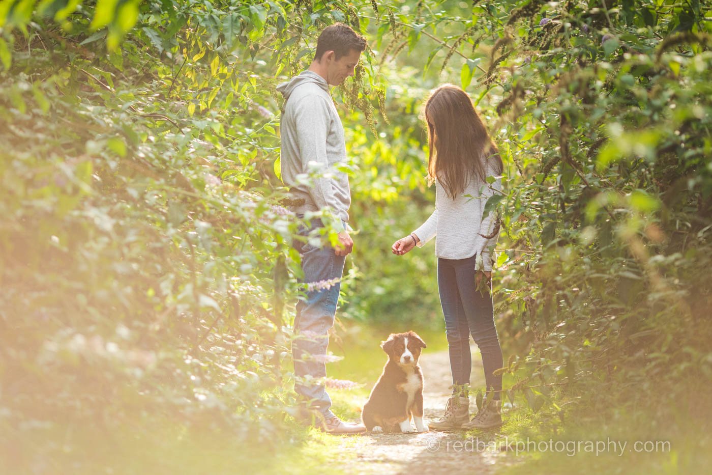 Maggie the Bernese Mix Spring Dog couple photography