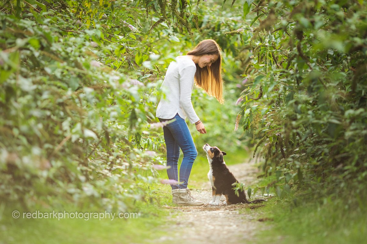 Maggie the Bernese Mix Spring Dog photography