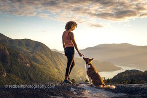 Border Collie Black Female Chief Squamish