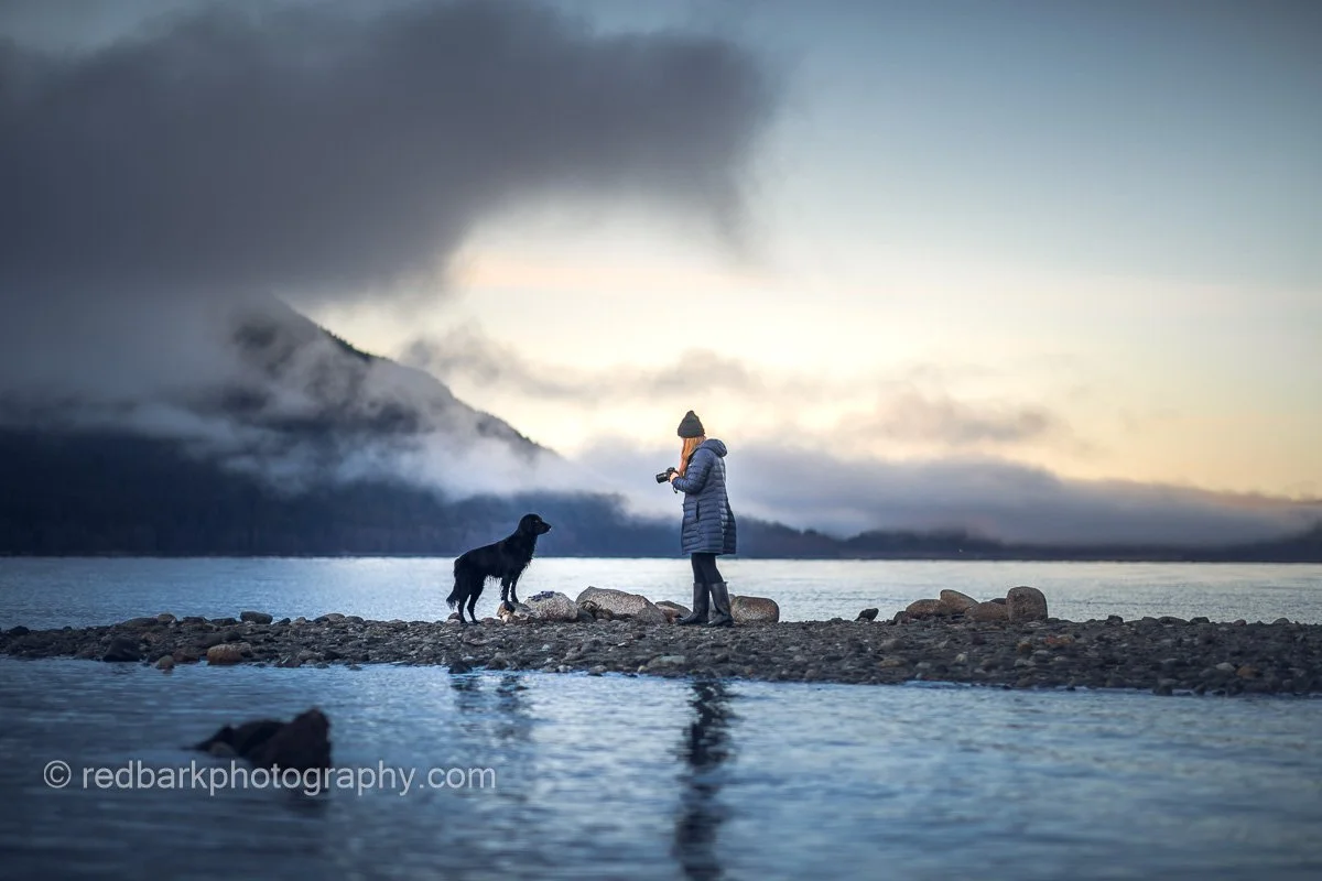 Photographing a dog at sunrise