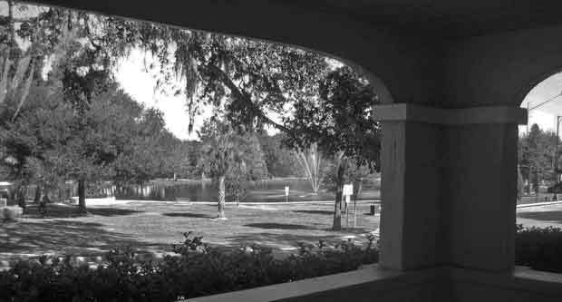 Overlooking the park from the Patio