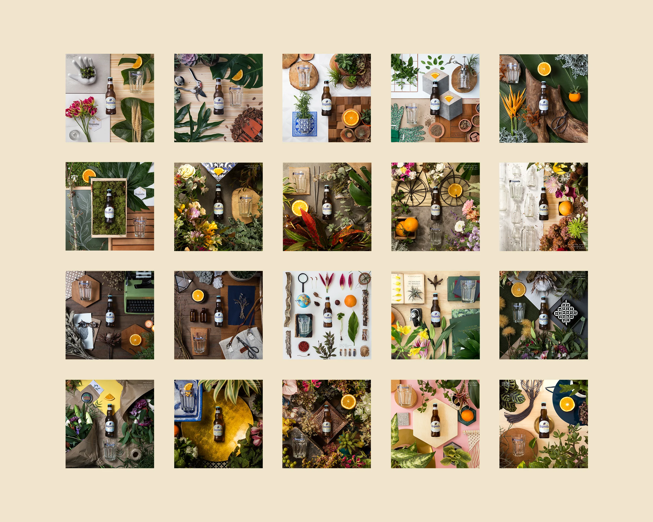 SS_Projeto_Hoegaarden_01.1.jpg