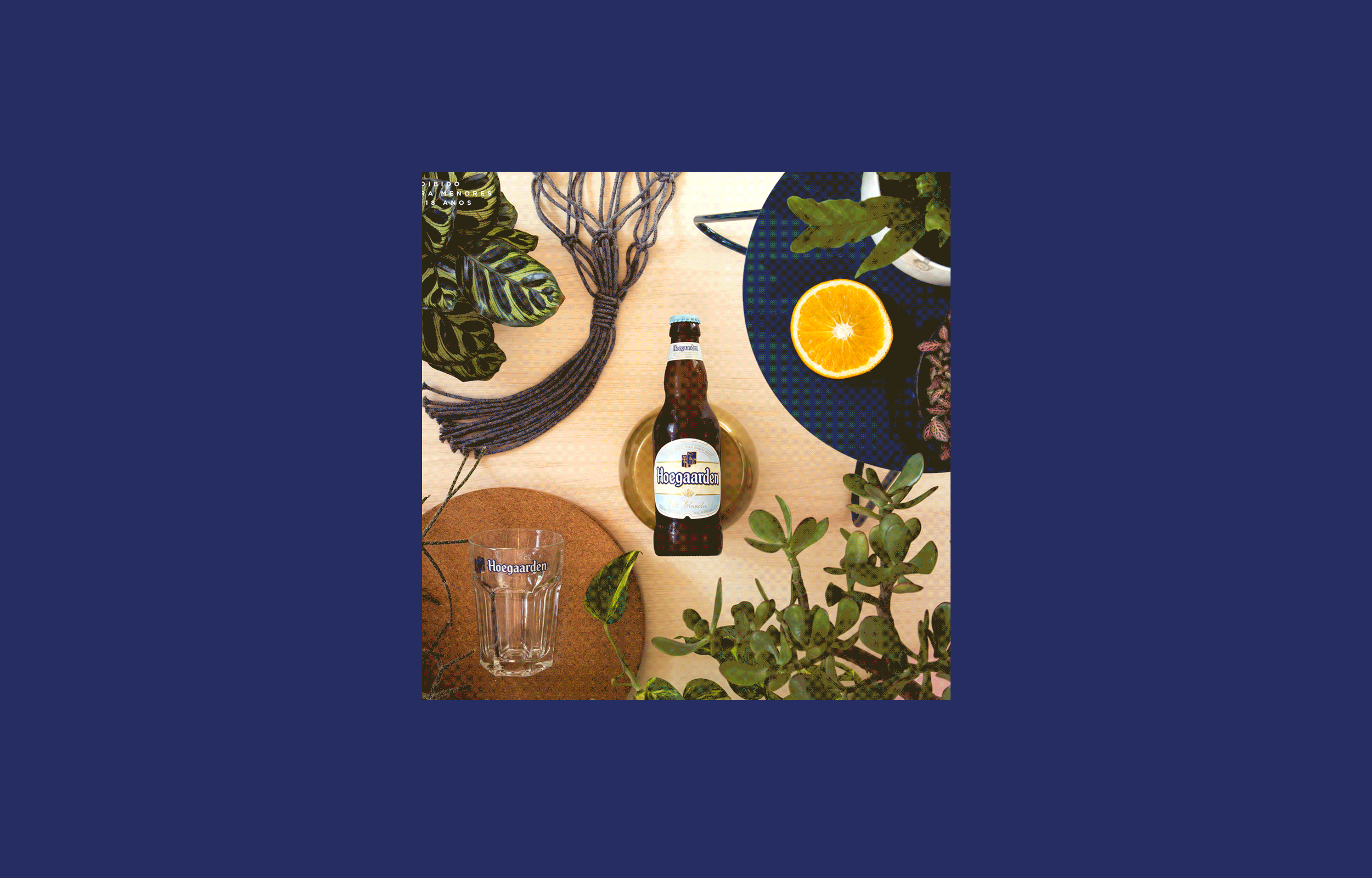 SS_Projeto_Hoegaarden_02.gif