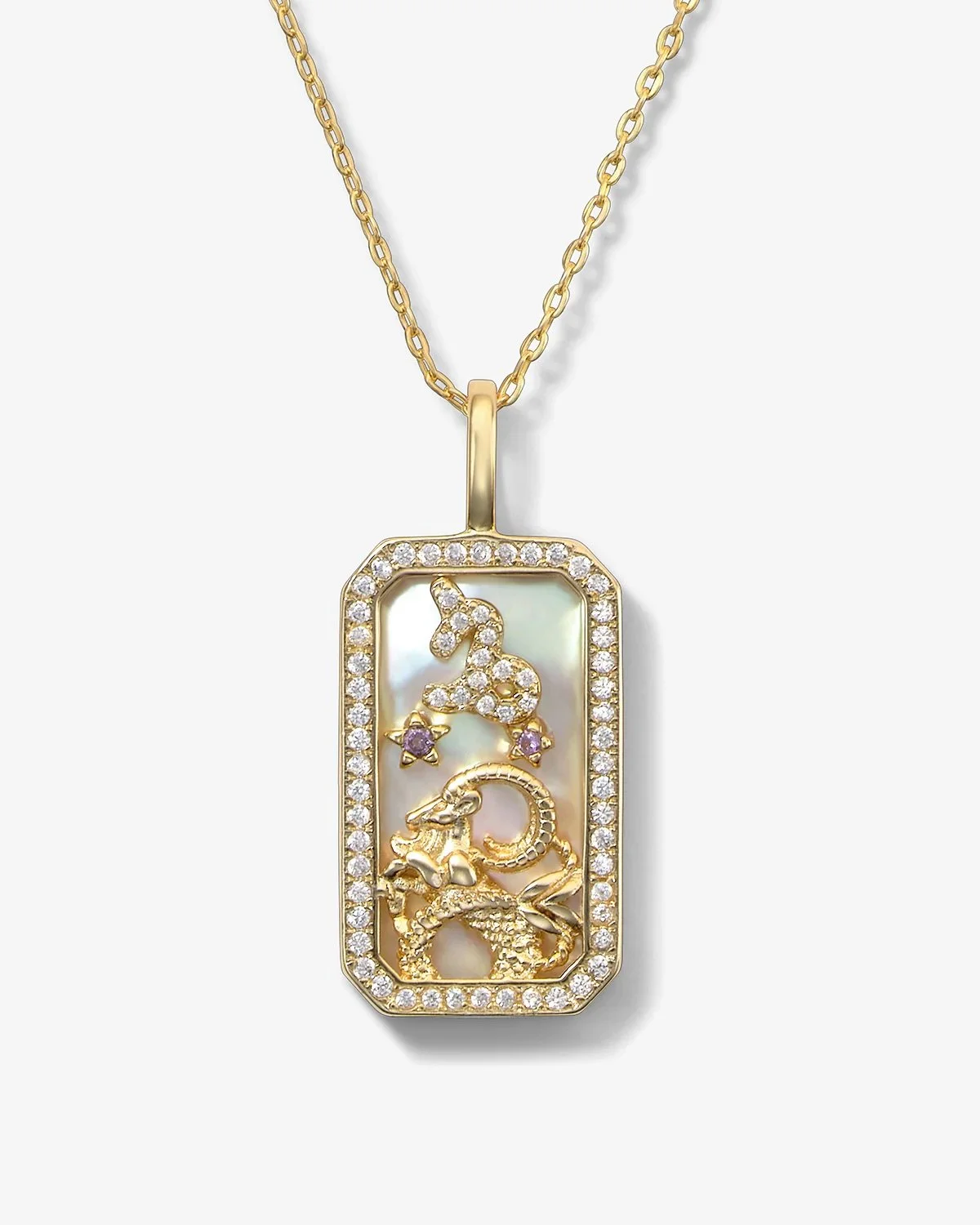 melindamaria-necklace-zodiacamulet-capricorn-gold-v1_3cdd32b0-7152-4997-a2ed-2c758c589ff5.jpeg