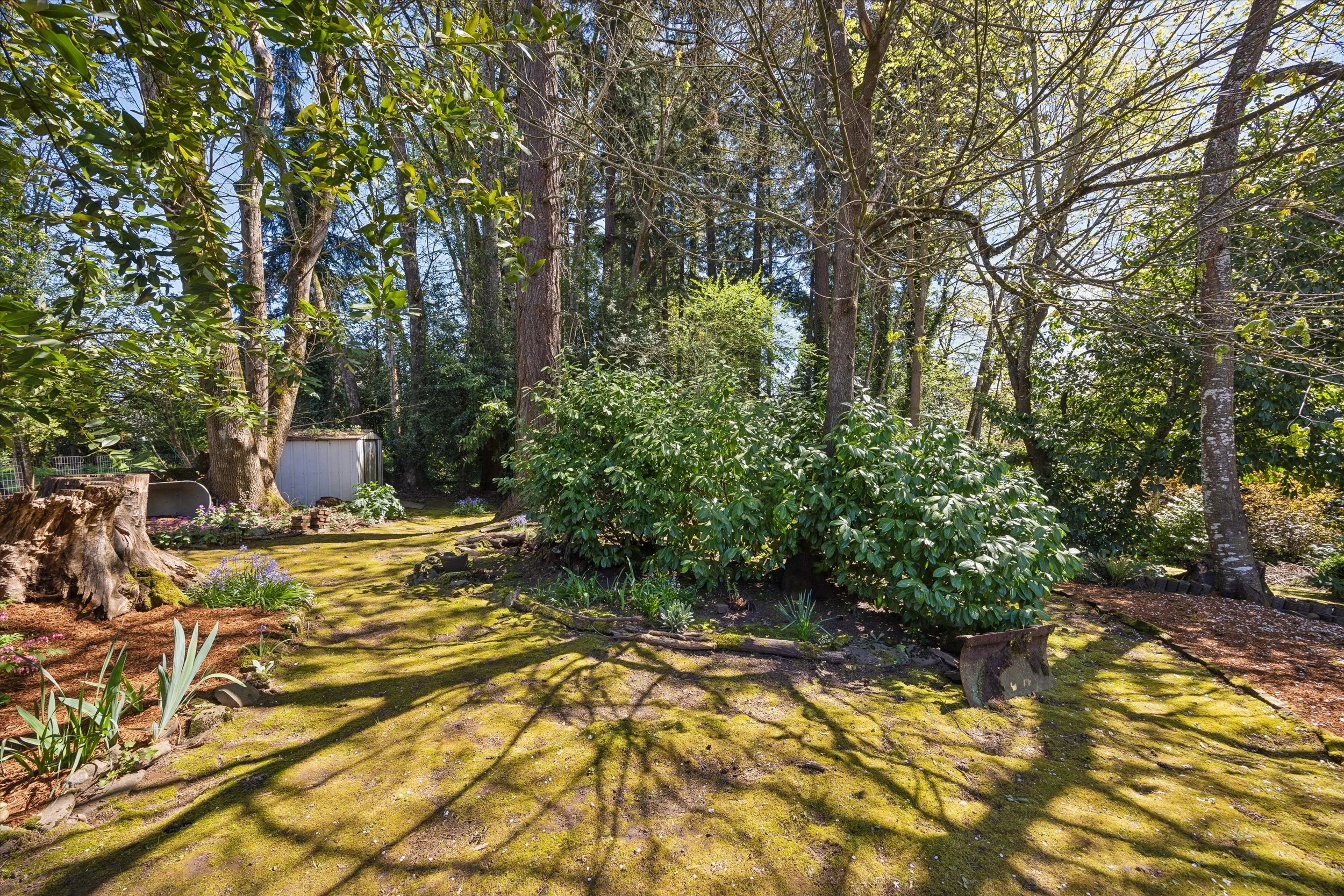 52-SE Glen Echo Ave, Milwaukie - 20260408 - 256.jpg