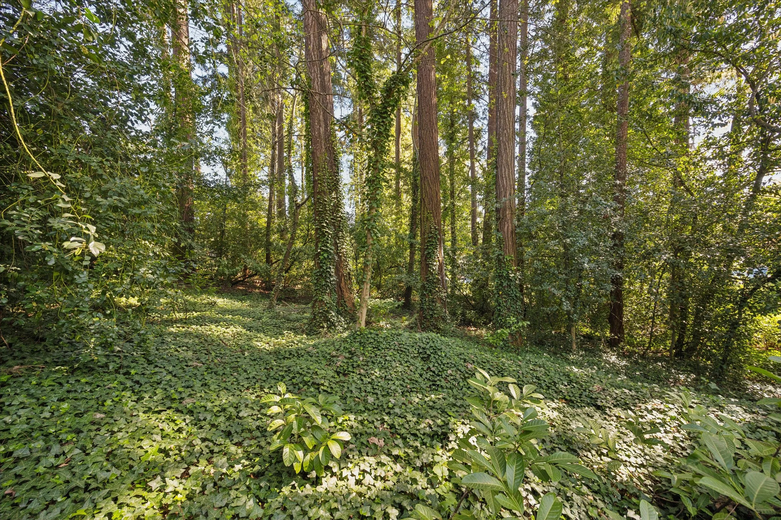 55-SE Glen Echo Ave, Milwaukie - 20260408 - 271.jpg