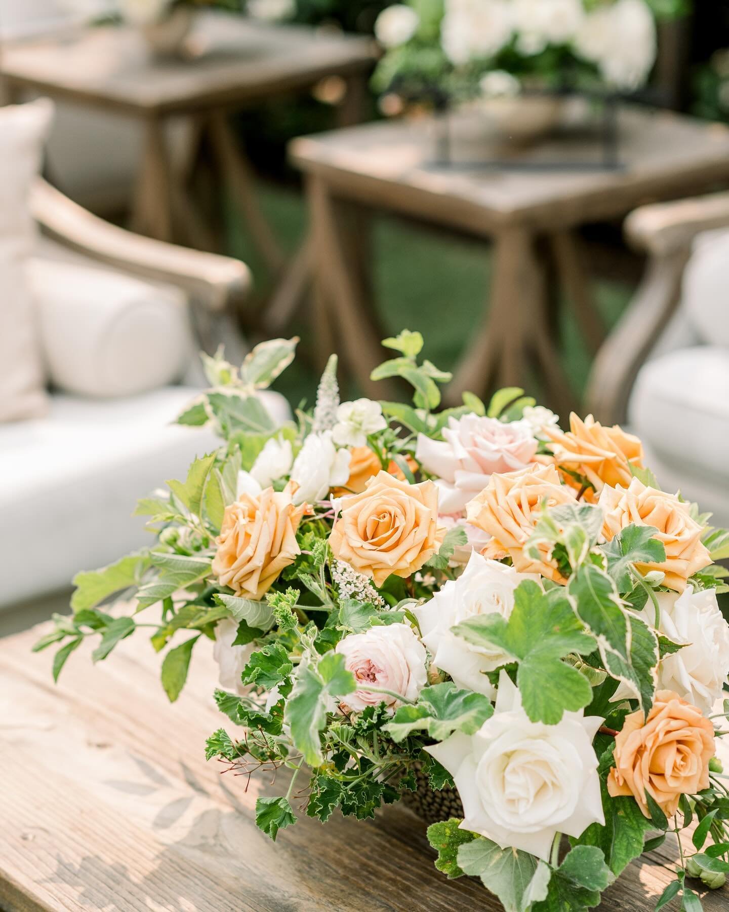 Love a good lounge moment and florals by @sarahsgardendesign 
.
.
.
With @pleasantonrentals 
@longmeadowranch 
Photo @caitlinoreillyphotography 
#napavalley