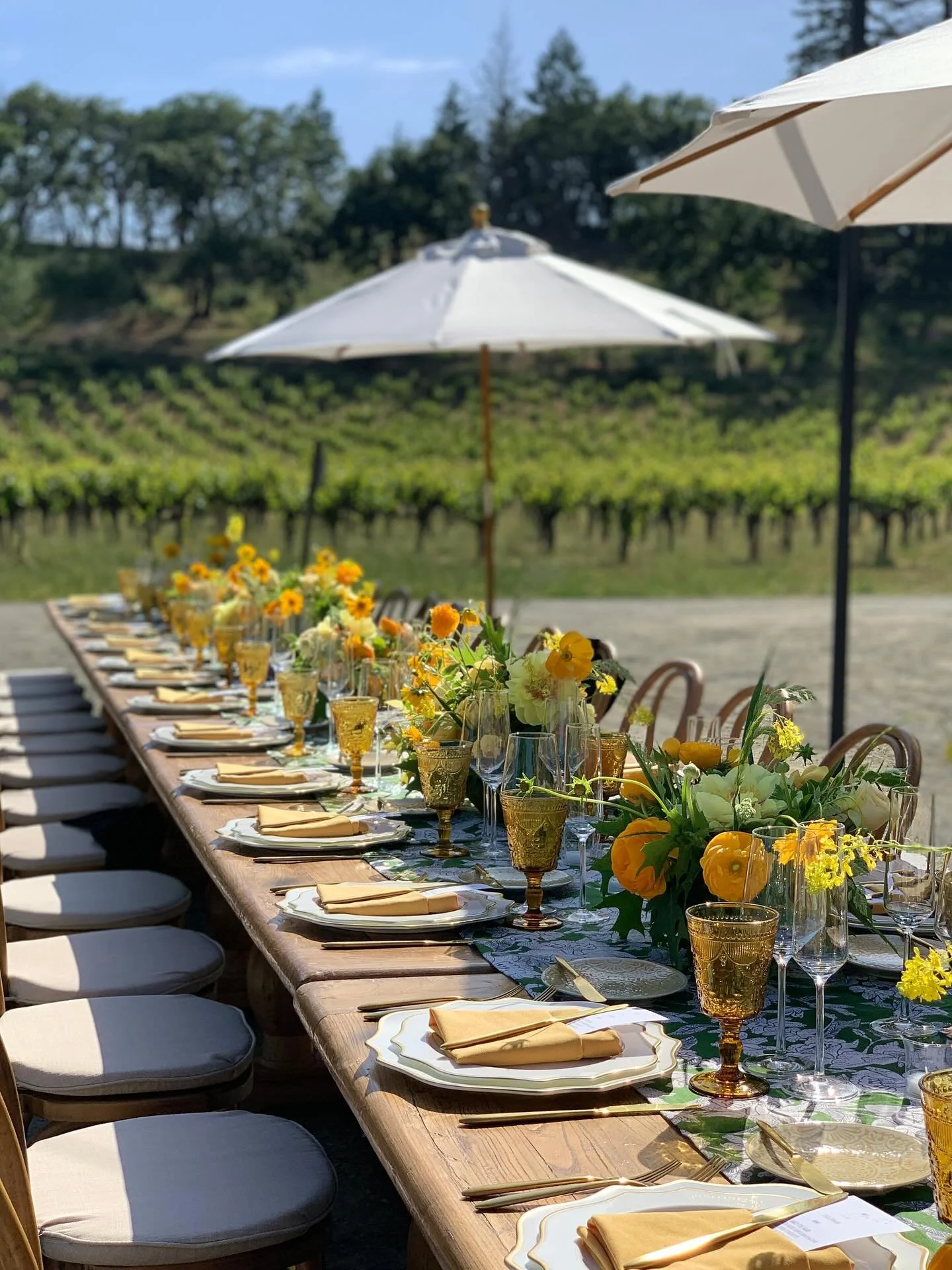 Love a sunny and bright day in Napa Valley! High on the top of Howell Mt. they wed, toasted and danced the night away 💛
.
.
.
At @blacksearswine 
Rentals @encoreeventsrentals @bbjlatavola 
Runners @lobjet 
Floral design @florali 
Catering @figcaters