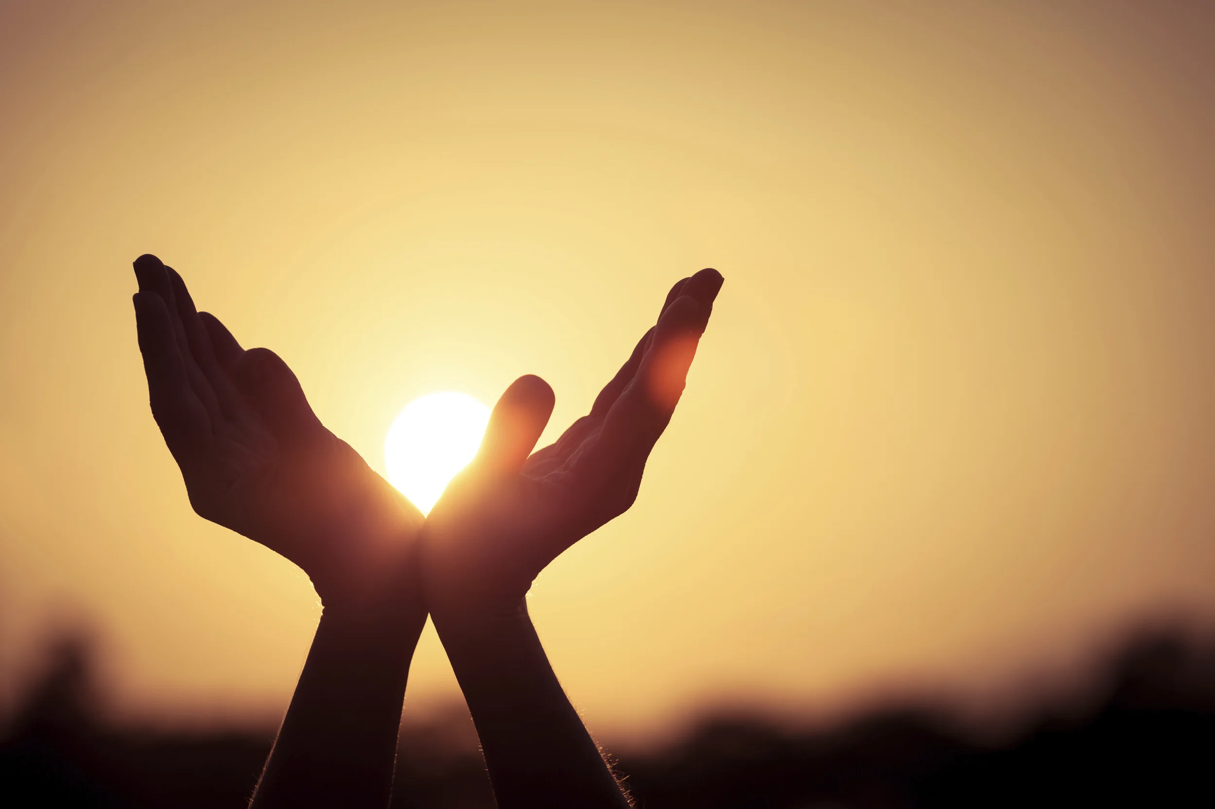 iStock_000051742074_Large.jpg