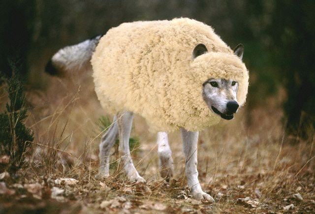 Saying that "reverse racism doesn't exist," is a wolf in sheep's clothing