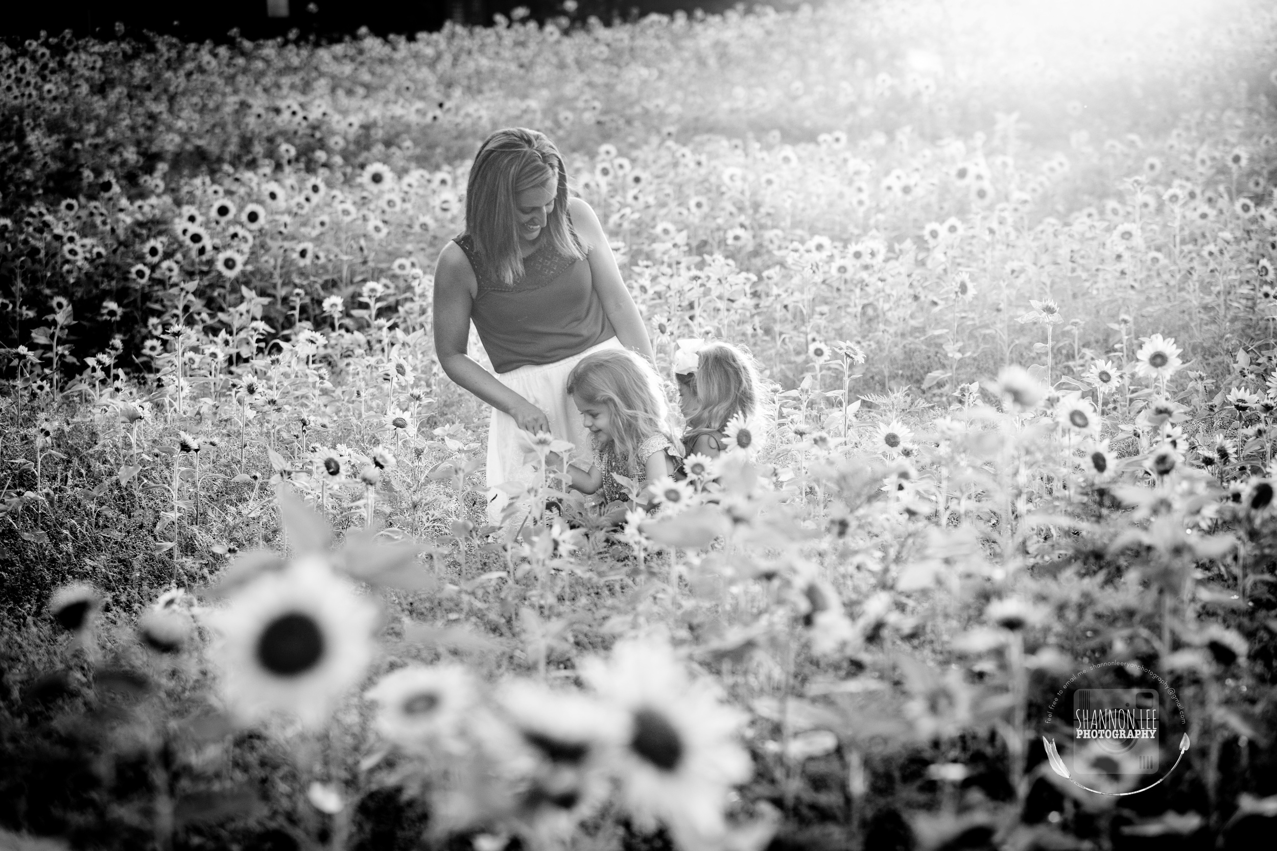 Long Island Sunflower Session Shannon Lee Photography (8).jpg