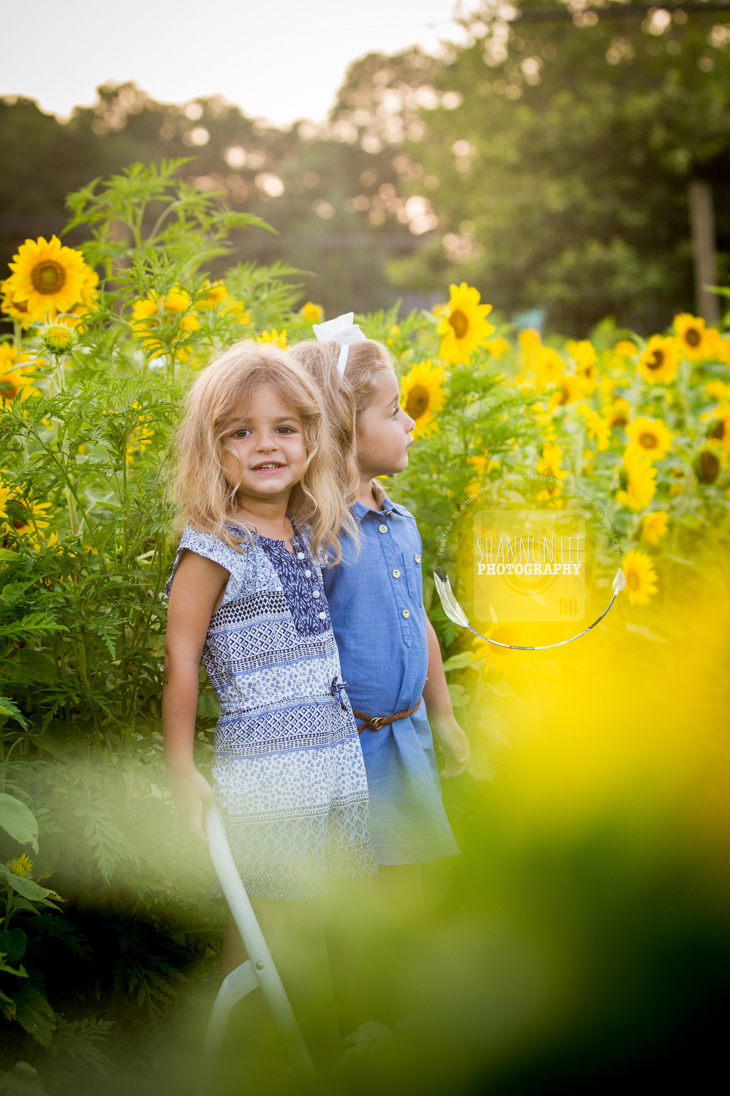 Long Island Sunflower Session Shannon Lee Photography (10).jpg