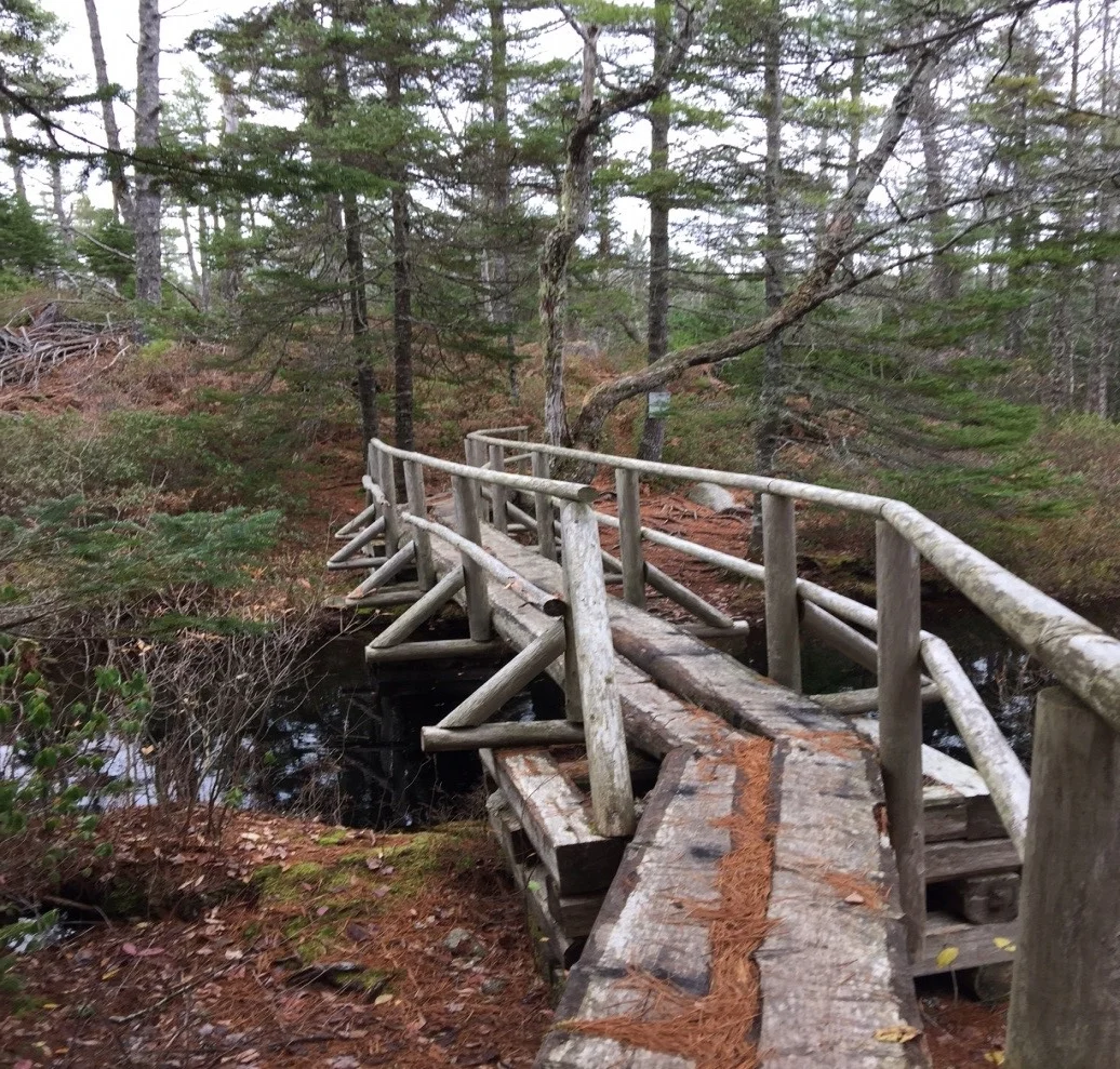 The Crowbar Wilderness Trail