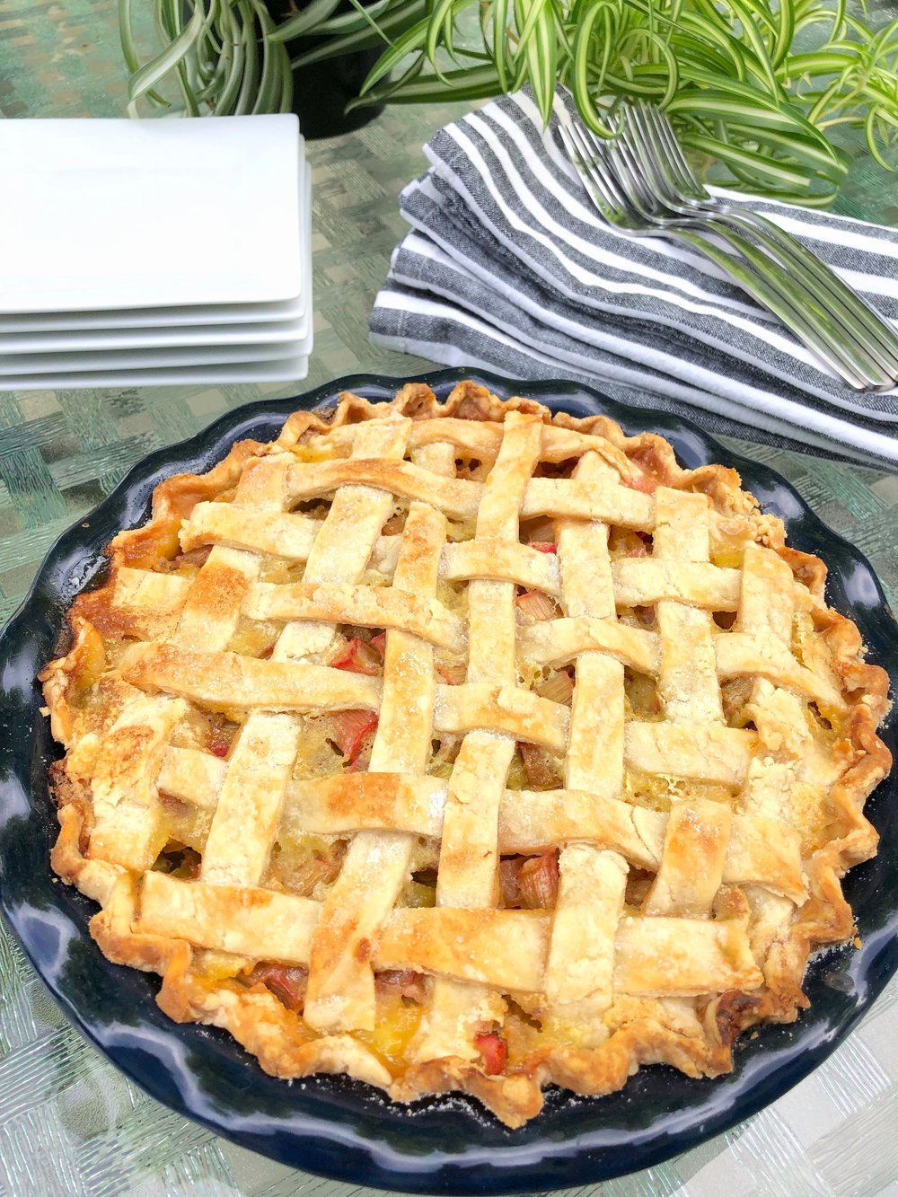 Rhubarb Custard Pie Rhubarb Custard Pie