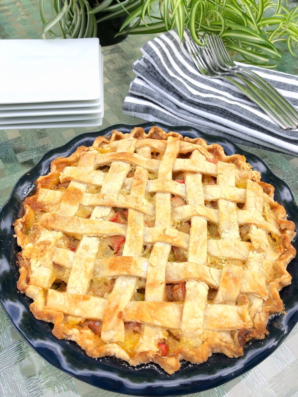 Rhubarb Custard Pie