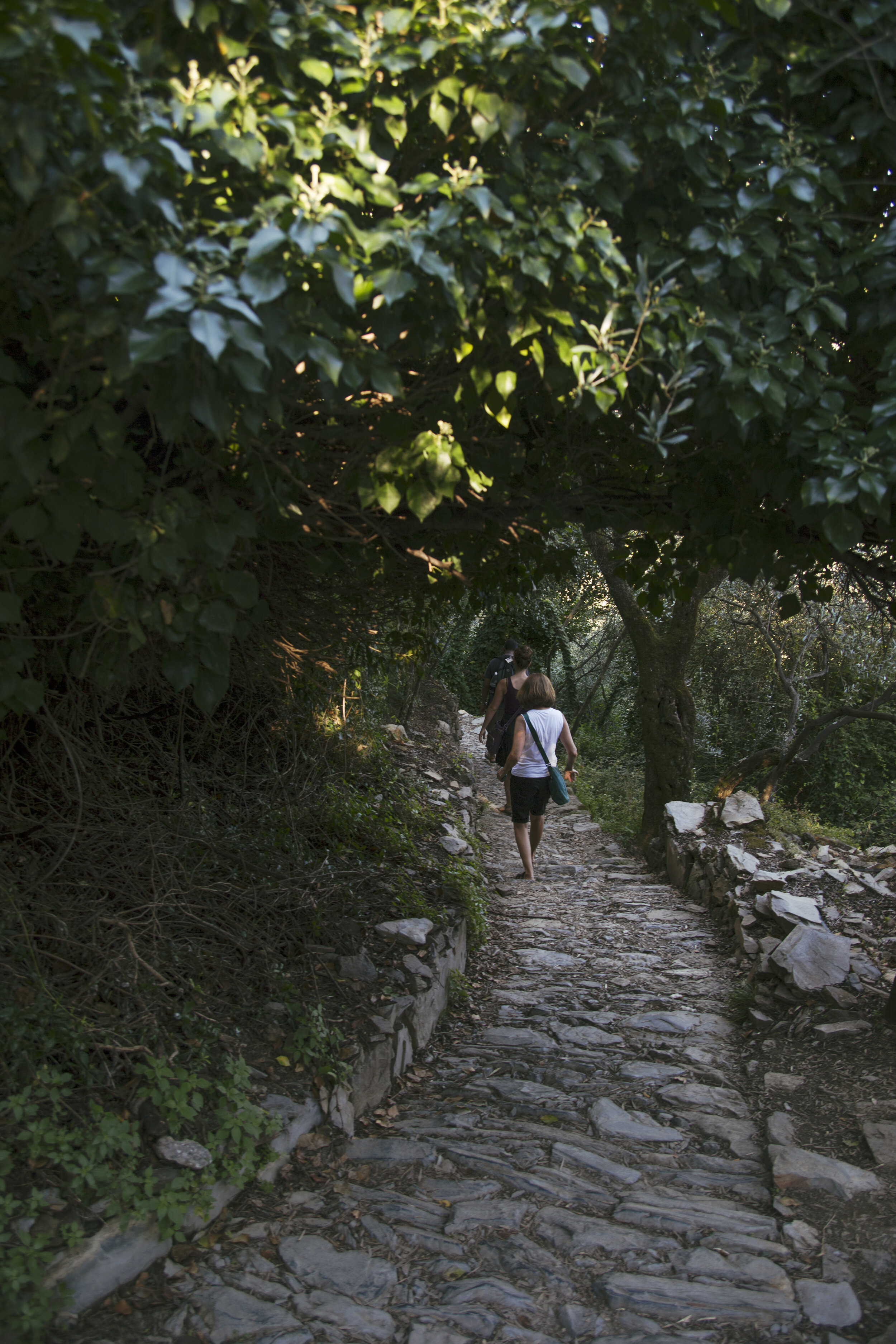 Hike from Vernazza to Corniglia