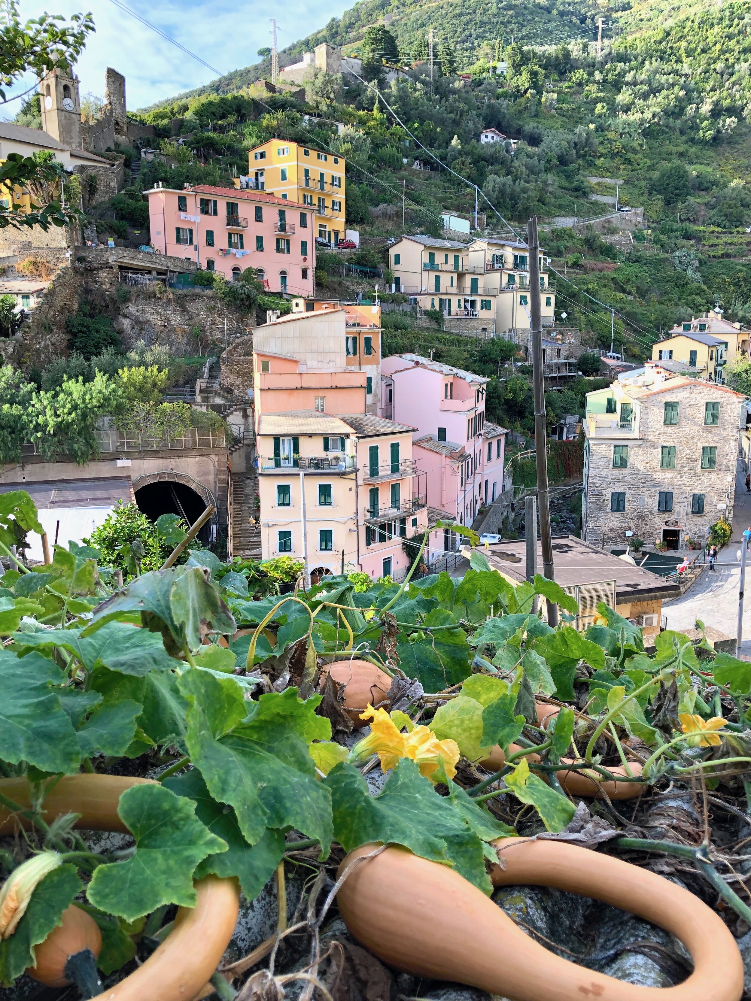  Vernazza 