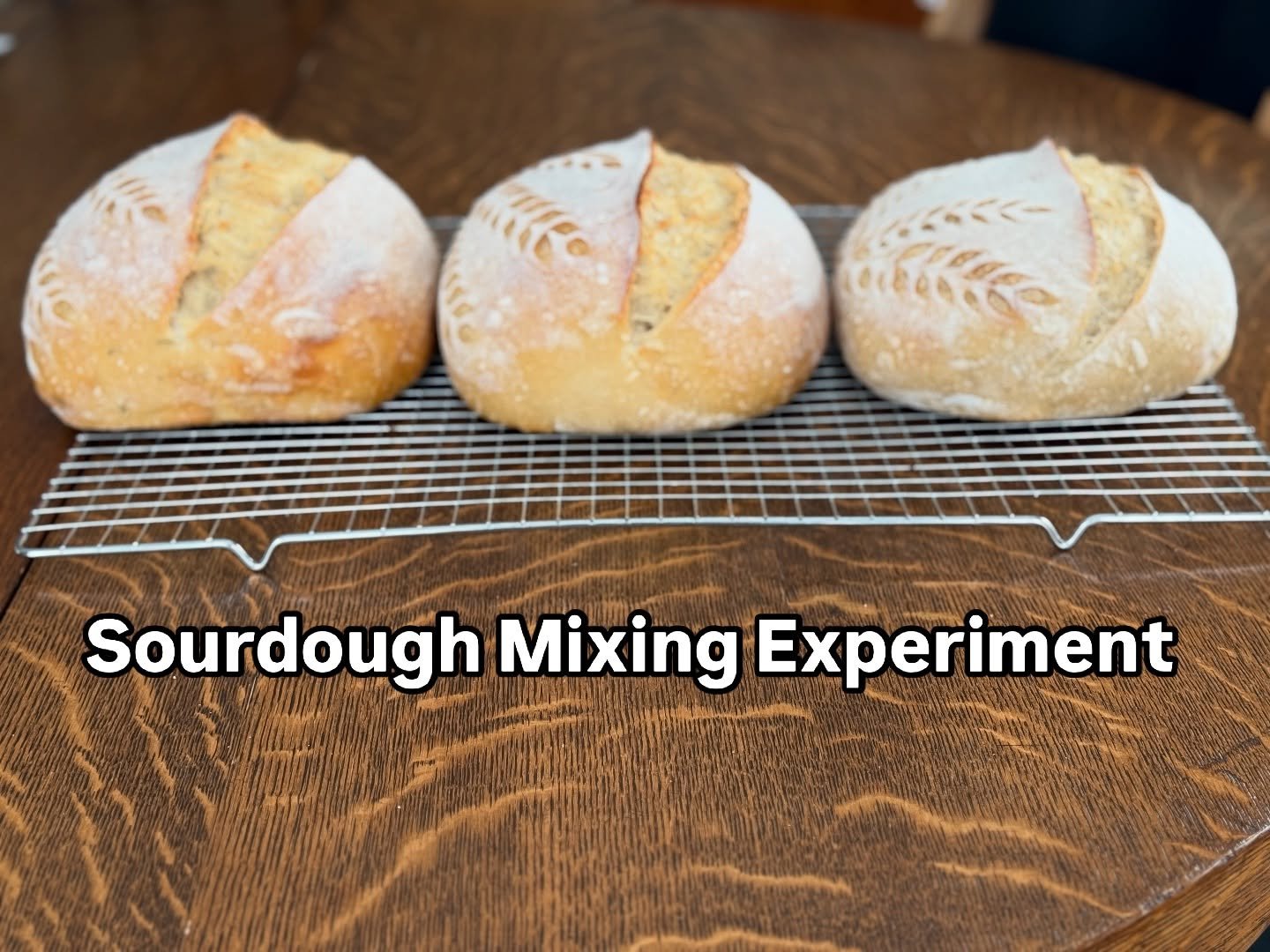 Sourdough Mixing Experiment! 

I tried a side-by-side experiment with three loaves that were identical except for how they were initially mixed.

&bull; 1 loaf was mixed by hand, just enough to incorporate ingredients fairly evenly 
&bull; 1 loaf was
