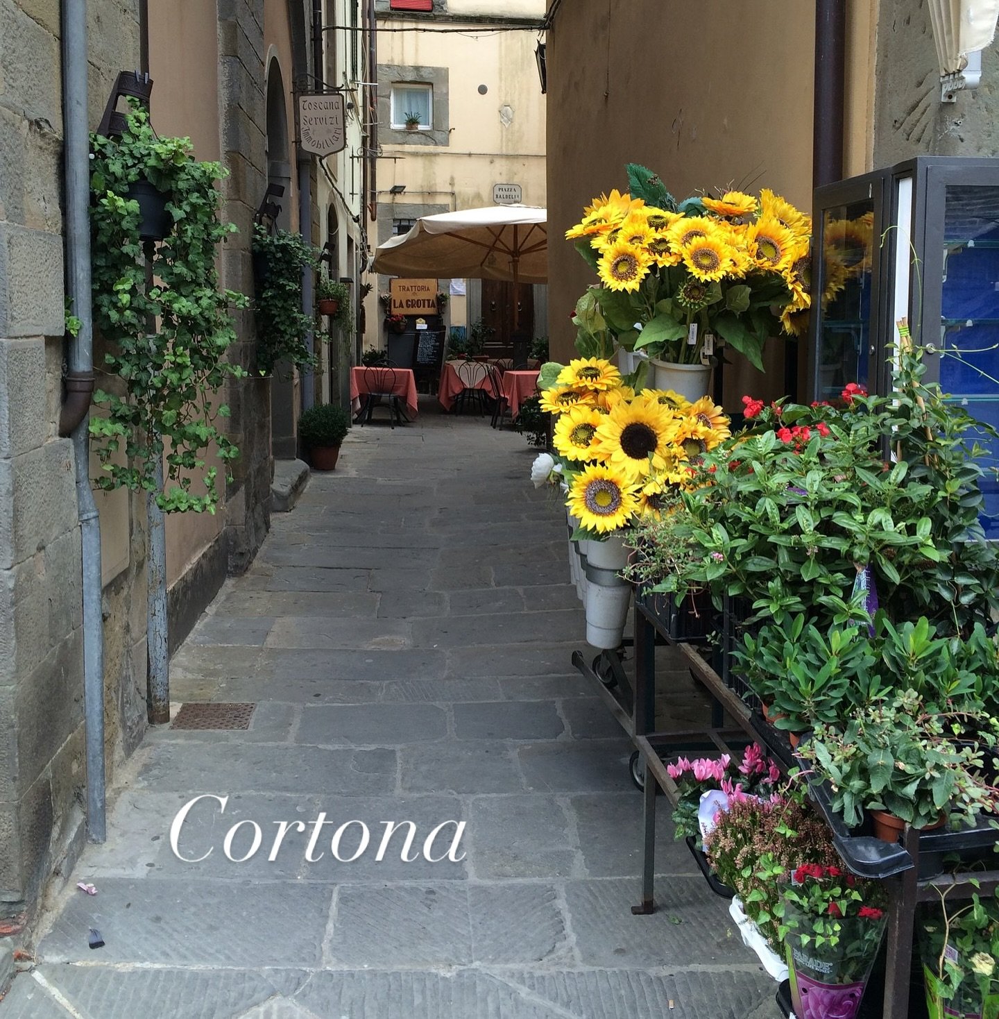 Explore Italy: Cortona

Cortona is a small town atop a hill in Tuscany, Italy, with majestic views of the valley below, and a unique perspective of both the Tuscan and Umbrian countryside. It&rsquo;s probably best known for being where &ldquo;Under t