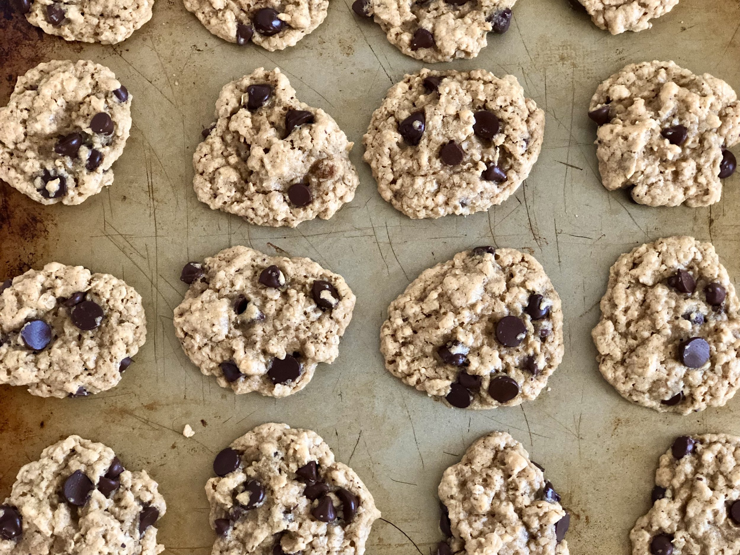 Whole Wheat Oat Chocolate Chip Cookies