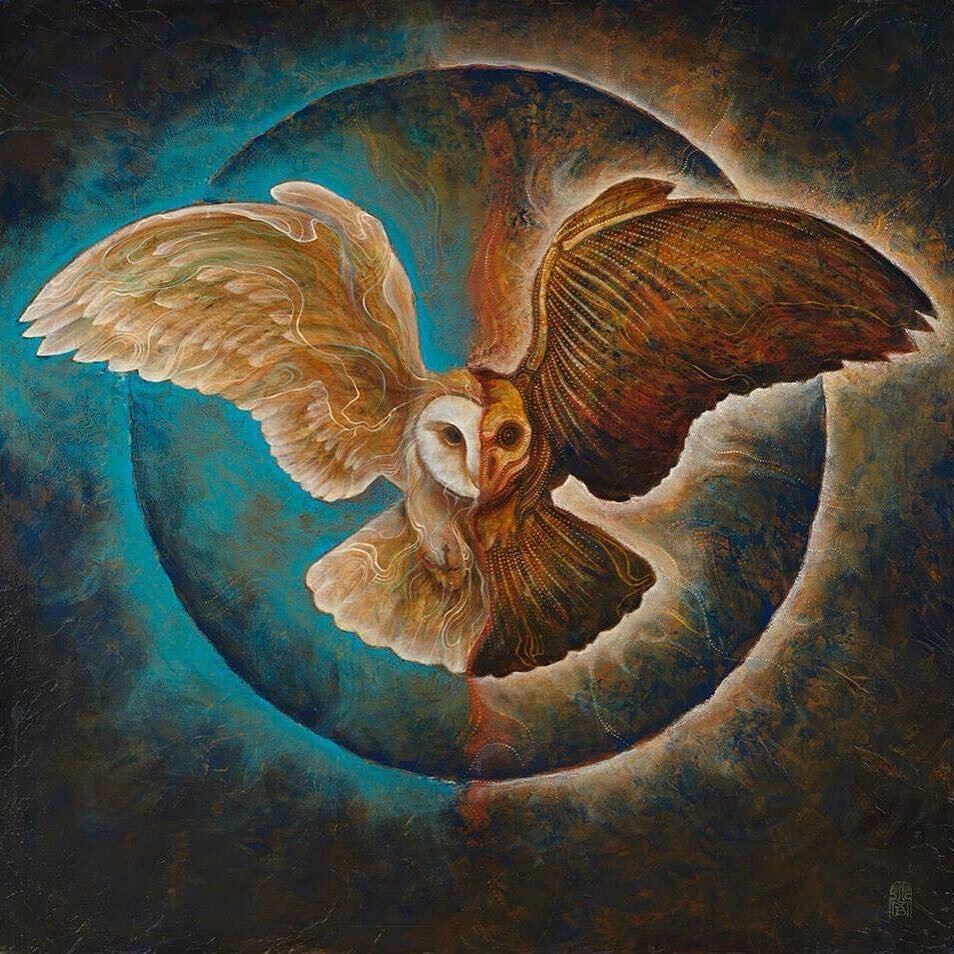 Owl sighting today 🦉 

The symbolism behind the owl varies. But the one that resonated for me is the one where the owl is a symbol of wisdom and intuition; as well as it being symbolic of life transitions and change.

I heard that seeing an owl is a