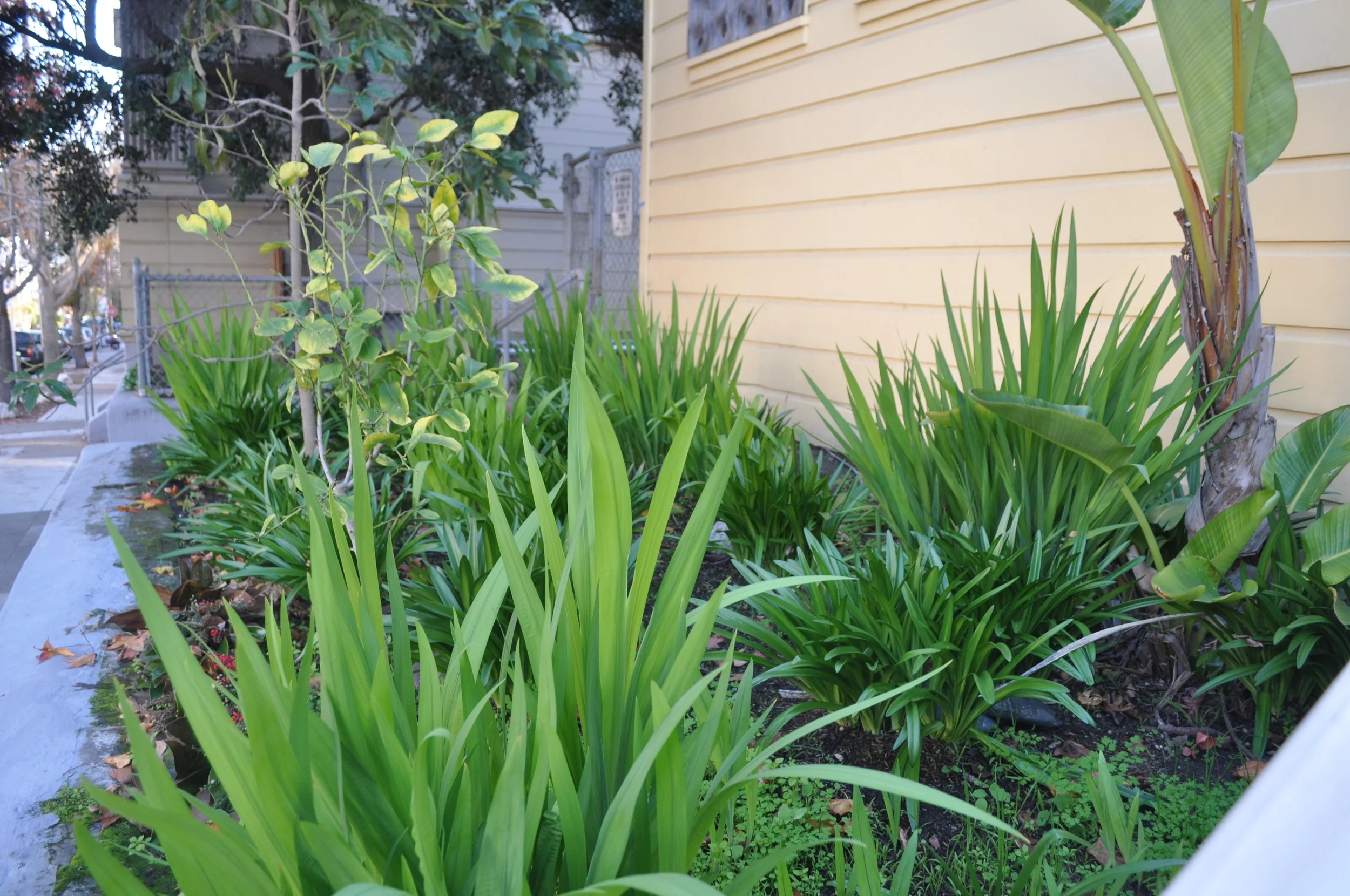   Dogpatch &amp; NW Potrero Hill       Green Benefit District  