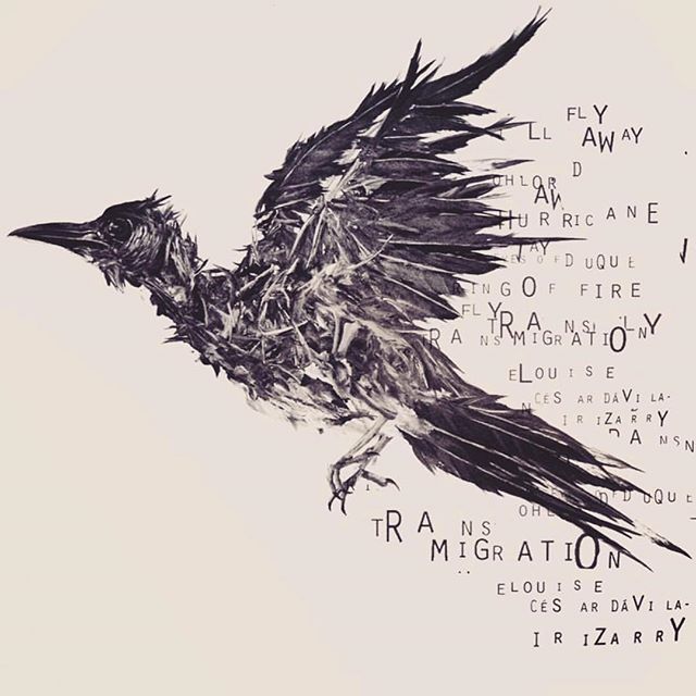 Excited to announce Transmigration is out TODAY on cdbaby!  Remixes by American Horror Story @cesardavilairizarry coming April 20th........... #blugrassmusic #blackgrass #elouise #altbluegrass #illflyaway #johnnycash #ringoffire #americanafashion #vi