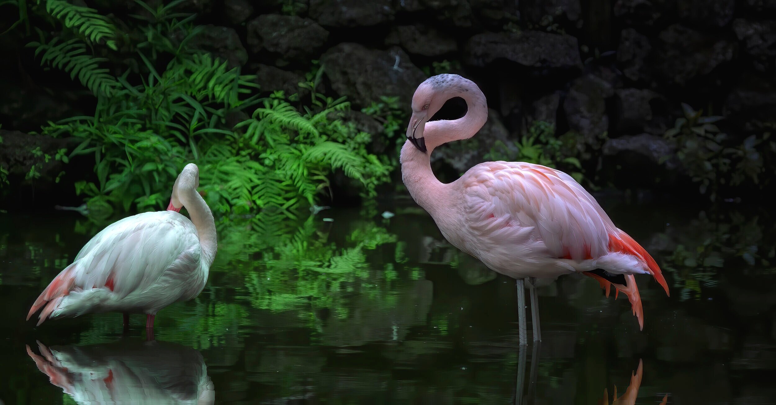 Flamingo+Pair.jpg