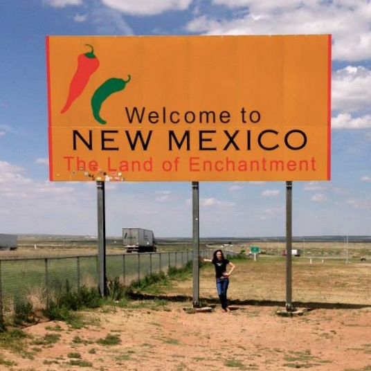 Texas/New Mexico State Line