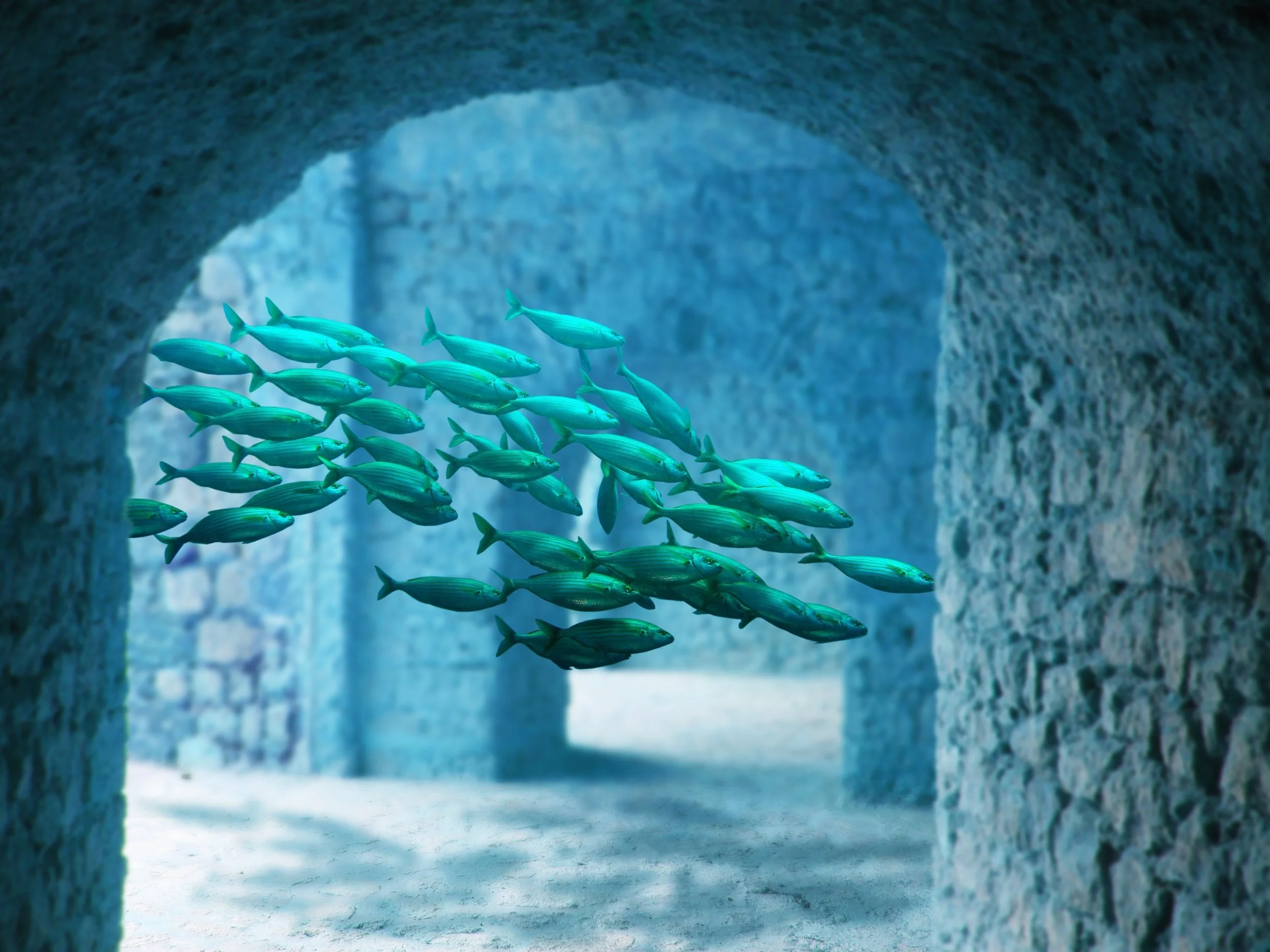 Atlantis, Bahamas.jpg