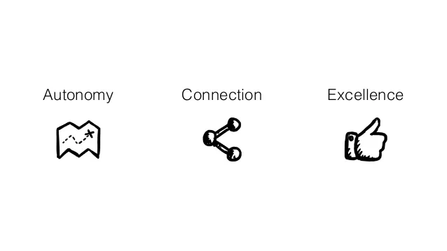 Organizational Motivators: Autonomy, Connection, and Excellence.