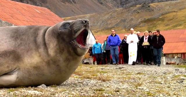 The ashes of Frank Wild are taken by the vicar and family descendants to be buried alongside Sir Ernest Shackleton, his partner in Antarctic exploration, on South Georgia Island. 