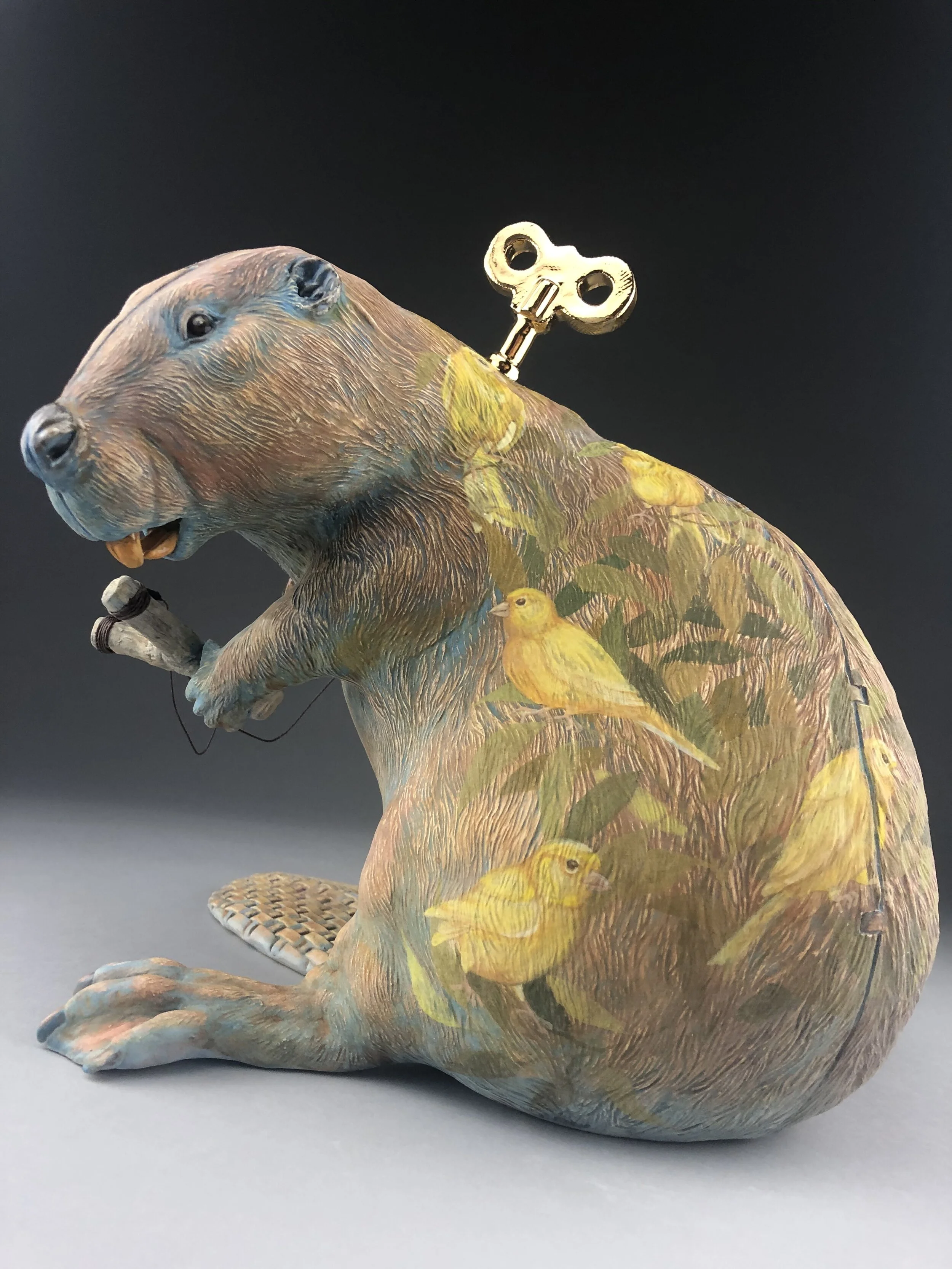 Death of a rice bird 2.JPG