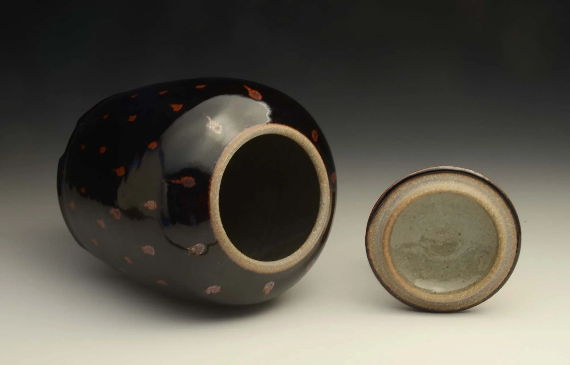 DSC_8860 copy2000.jpg