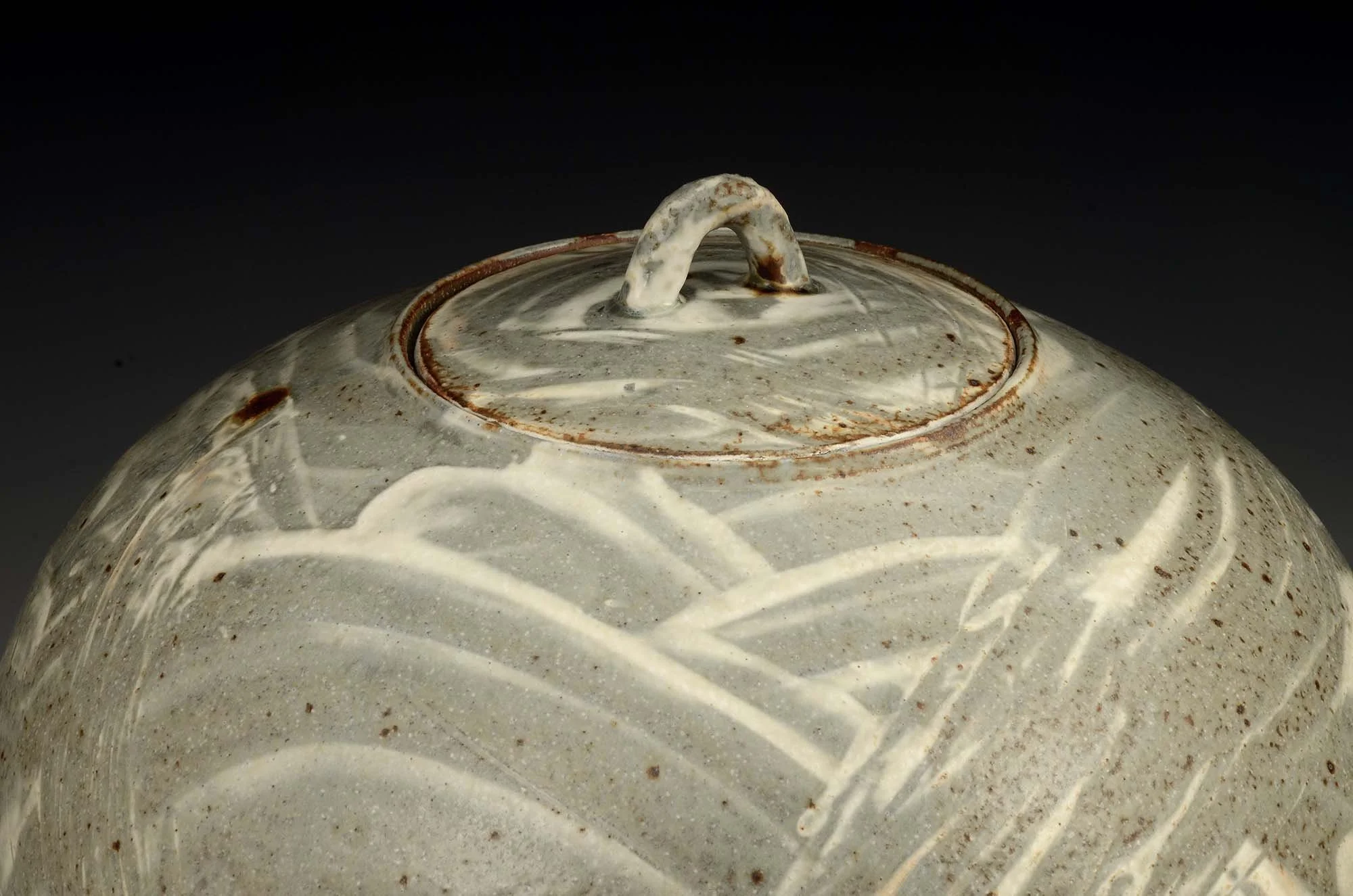 DSC_8809 copy2000.jpg