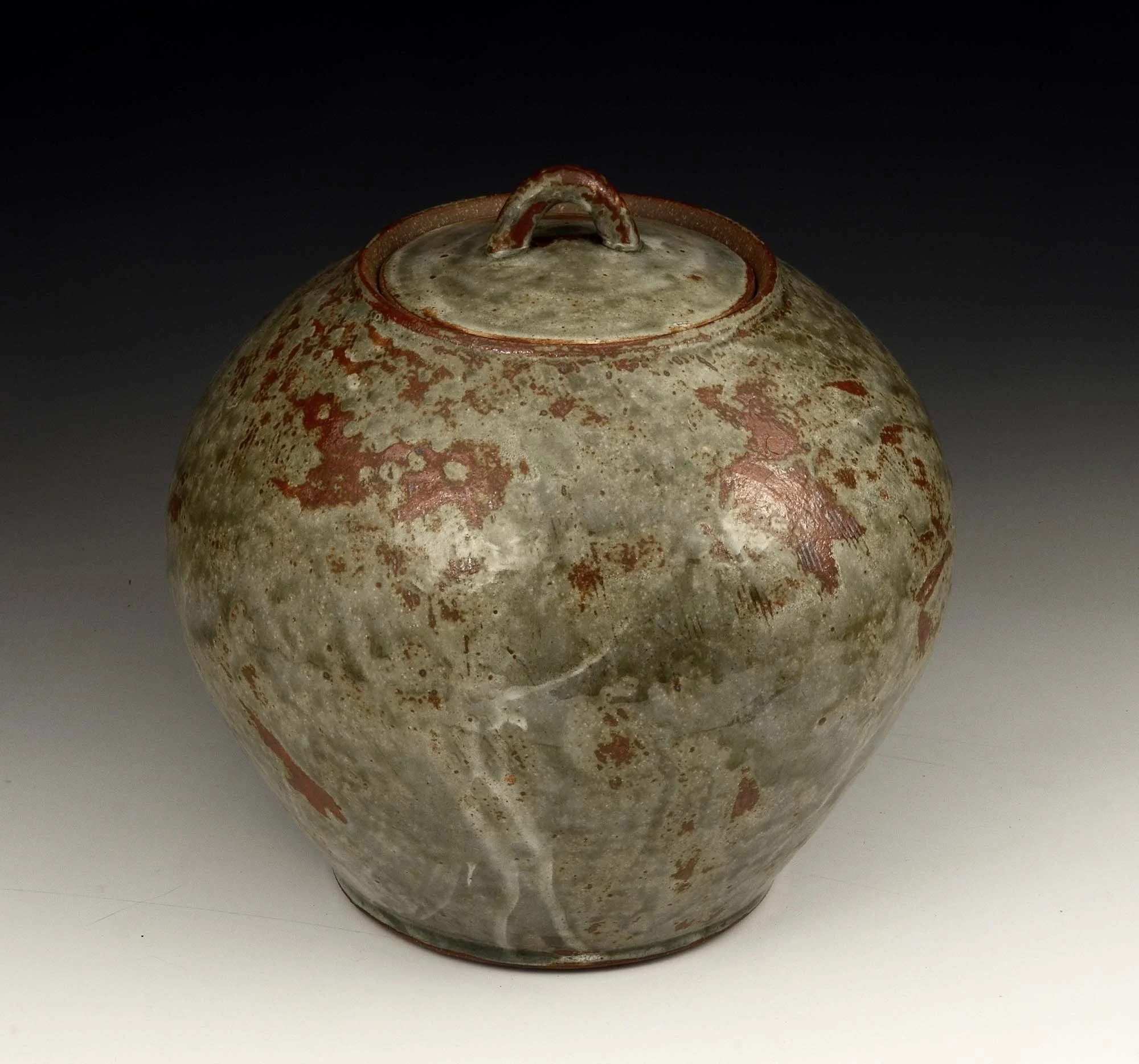 DSC_8800 copy2000.jpg