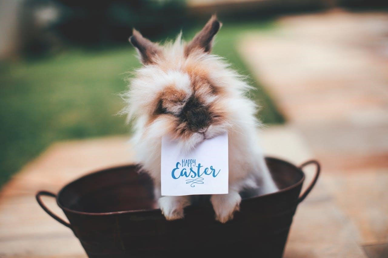 Let Easter Healing Show You How to Begin Again
