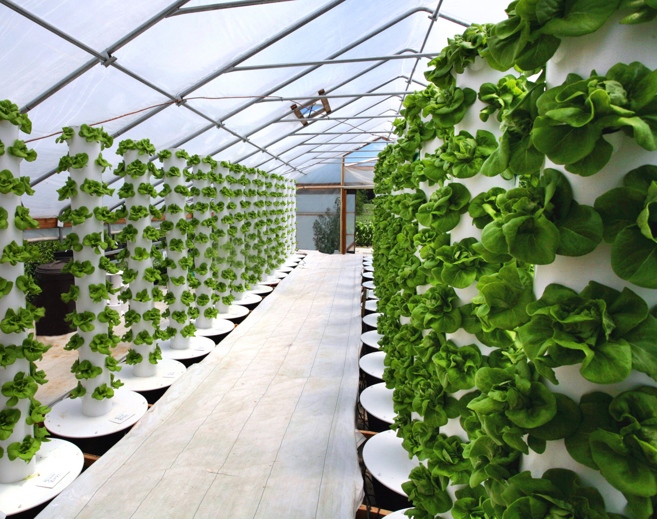 vertical hydroponic tower.jpg