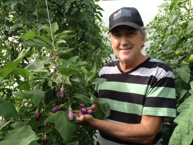 specialty_eggplant.JPG