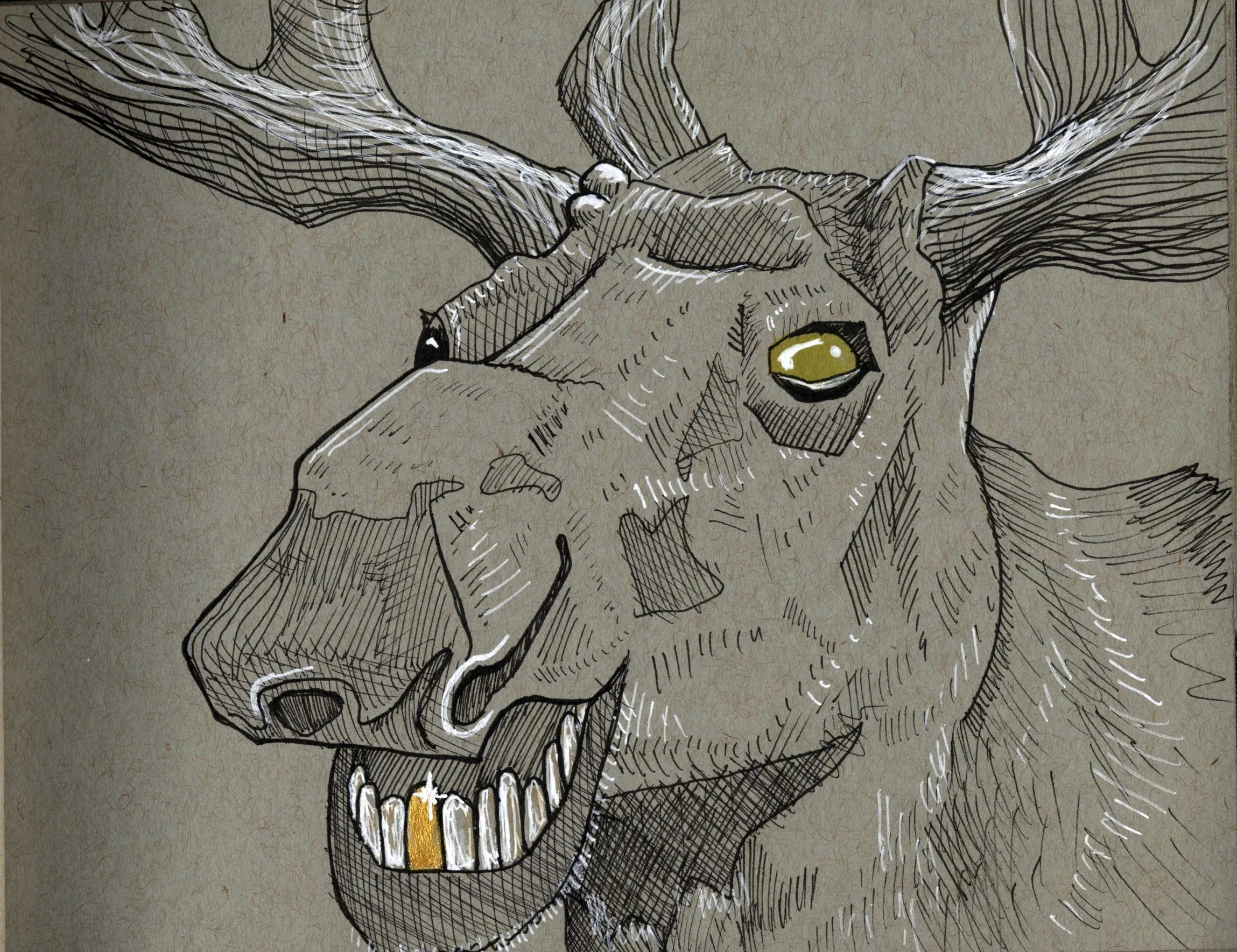 MOOSE.jpg