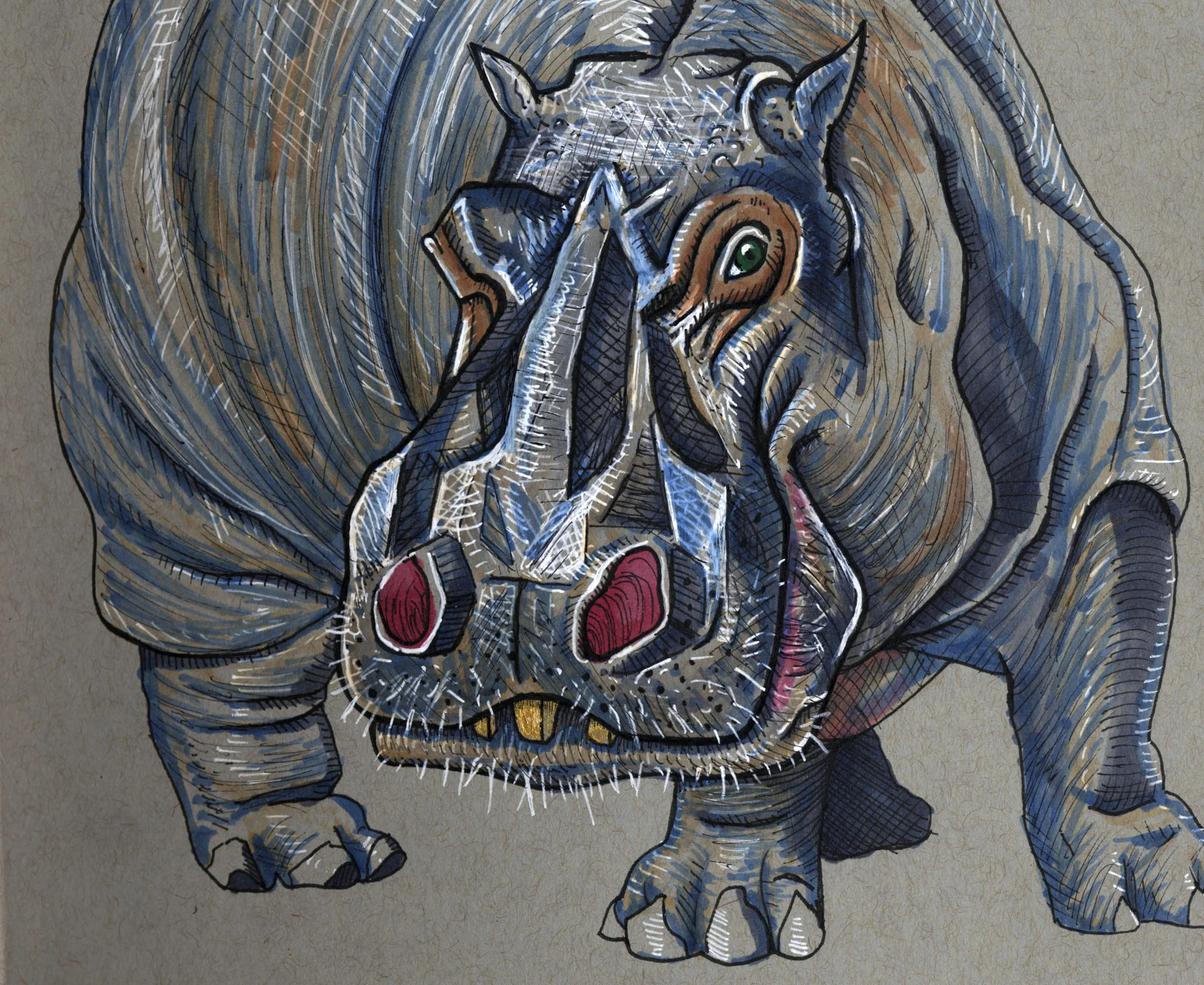 hippo.jpg