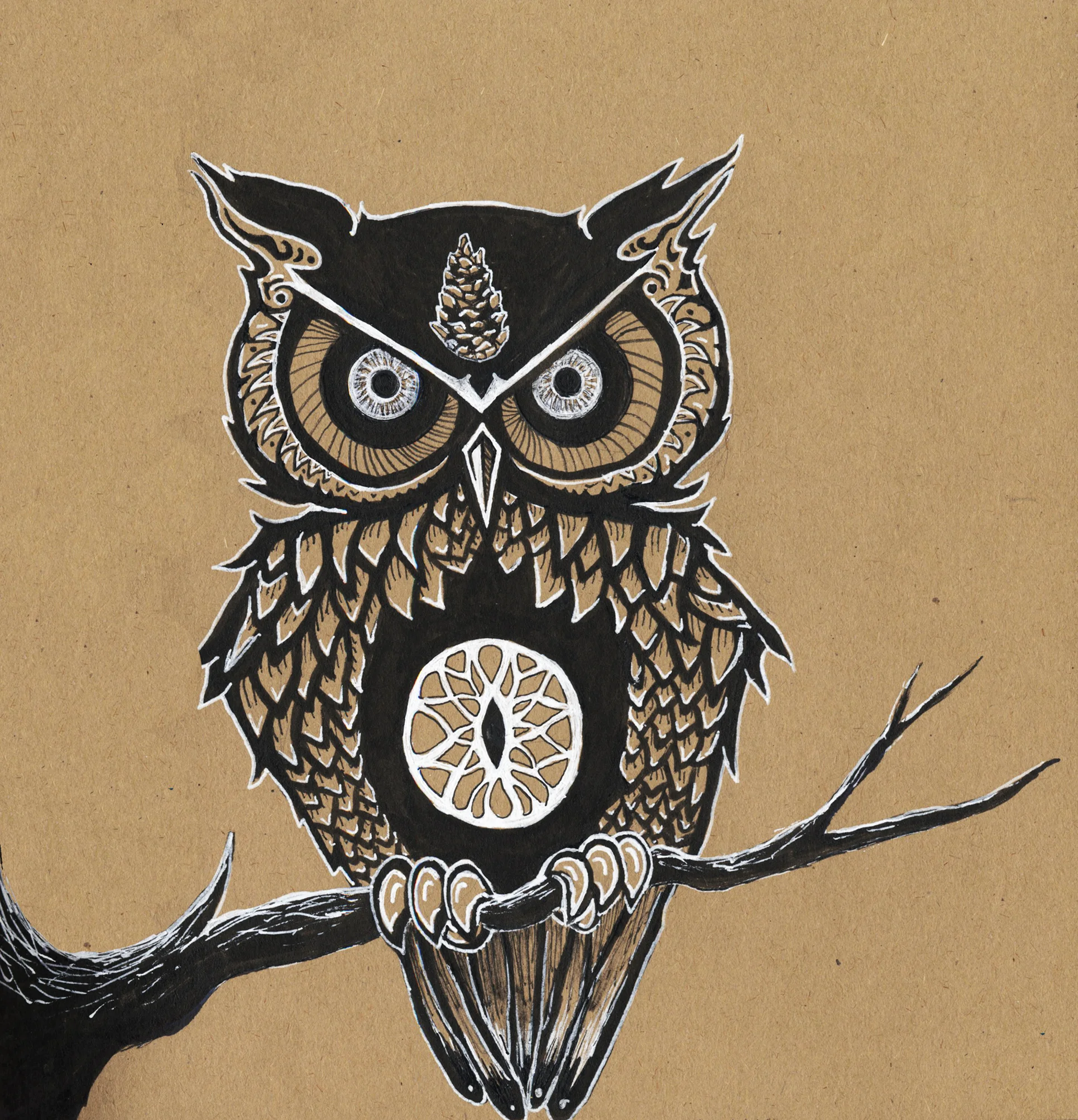 pineal owl.jpg