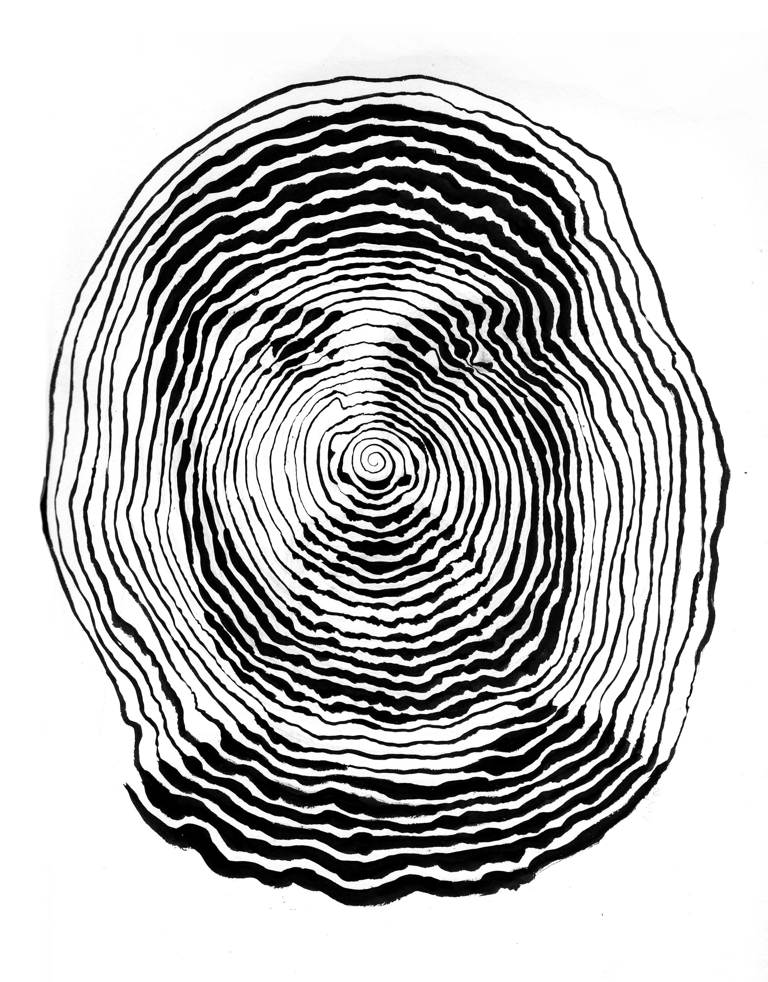 Self Portrait Using Single Spiraling Line, 8x10", Ink on Paper