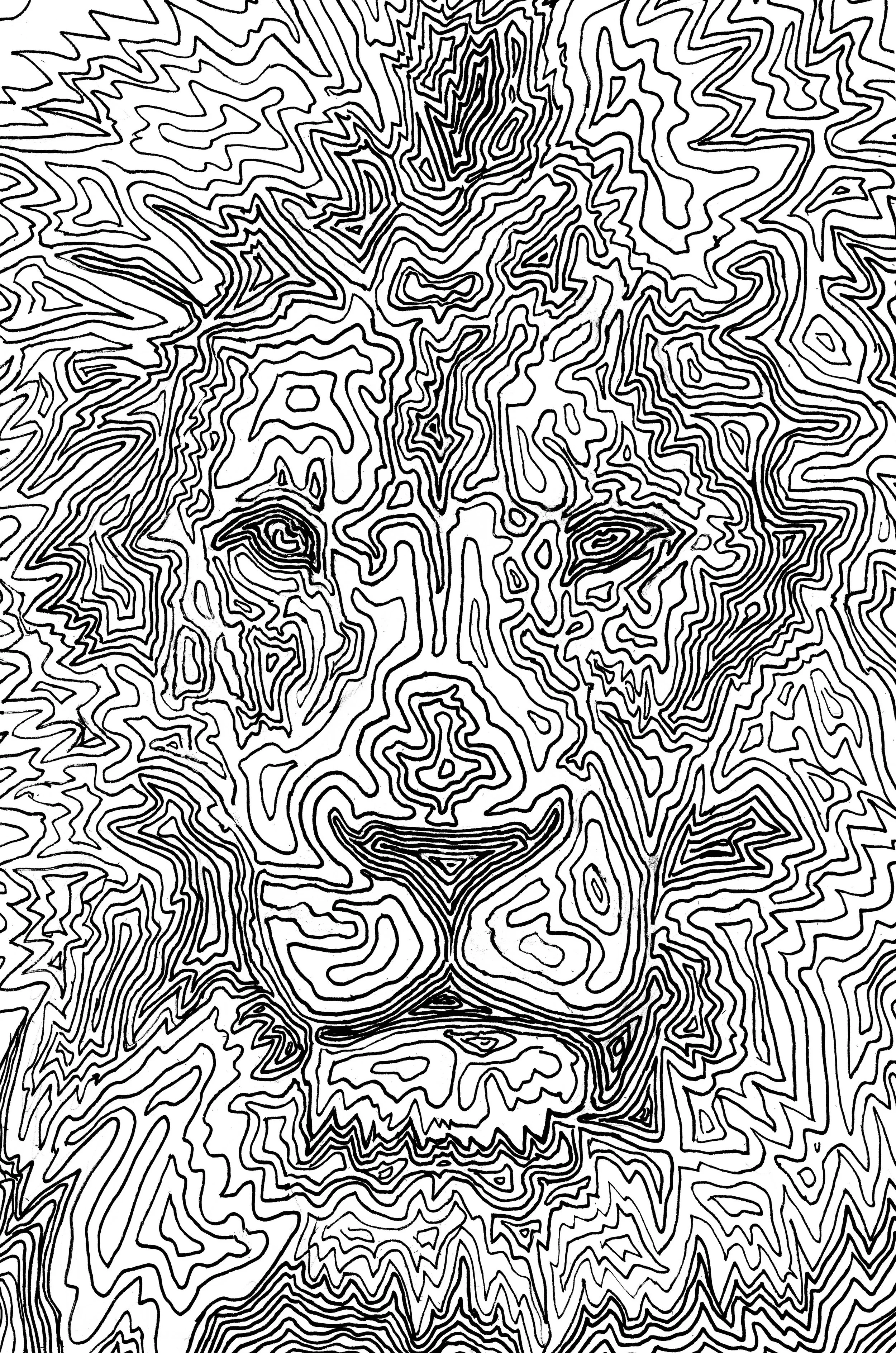 Topographic Lion Andy Bruh.jpg
