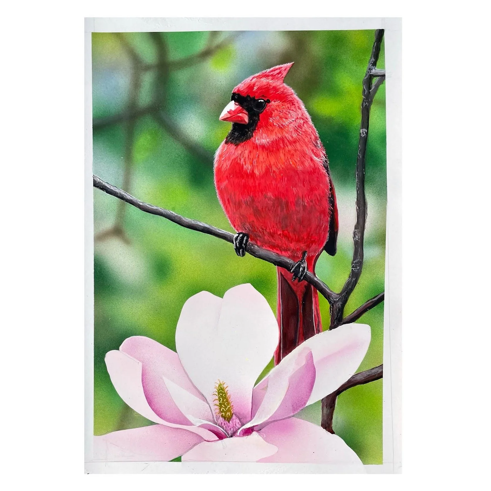 Cardinal for website .jpg