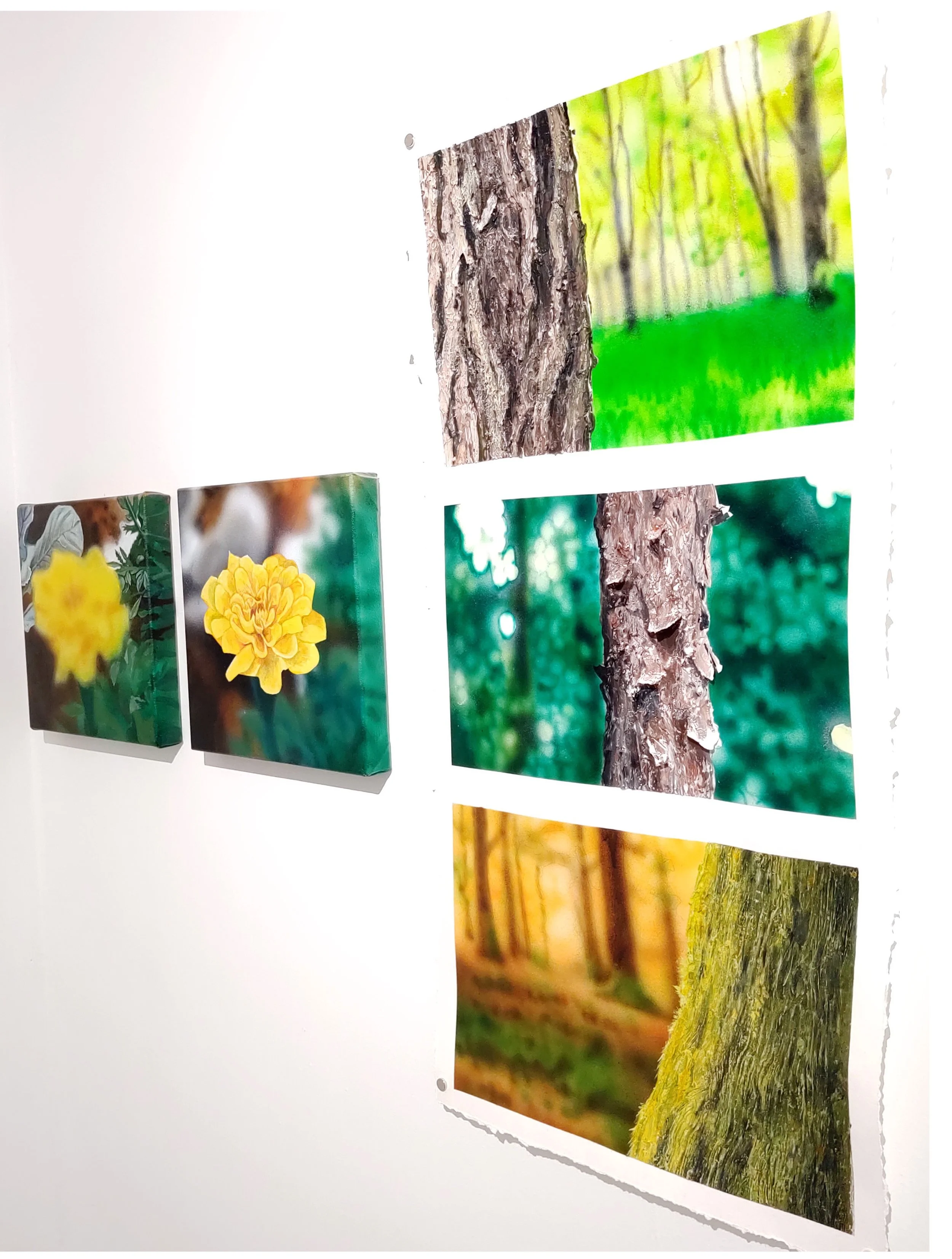 tree and flower amalg 3 copy.jpg