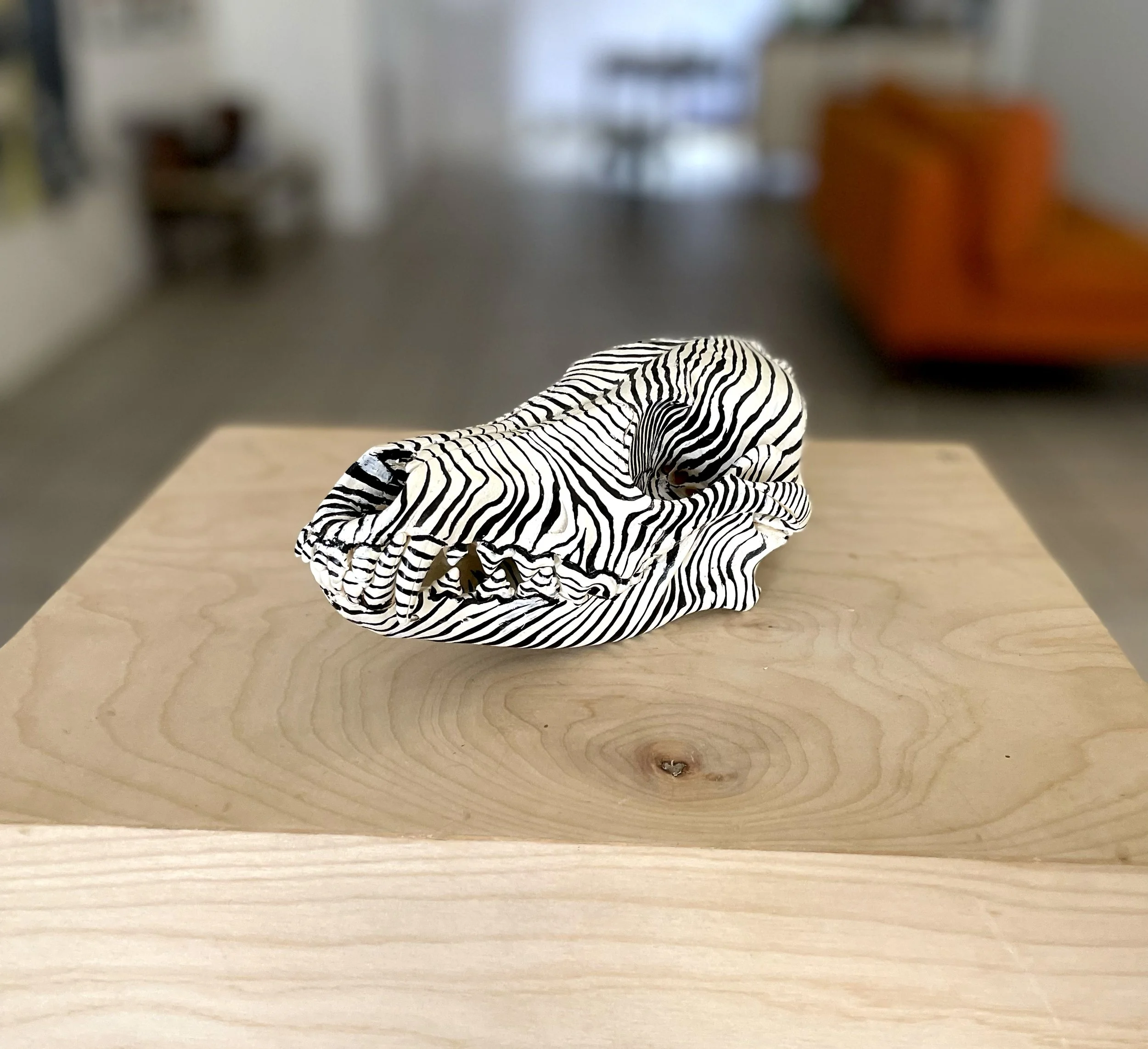 lz painted skull 1.jpg