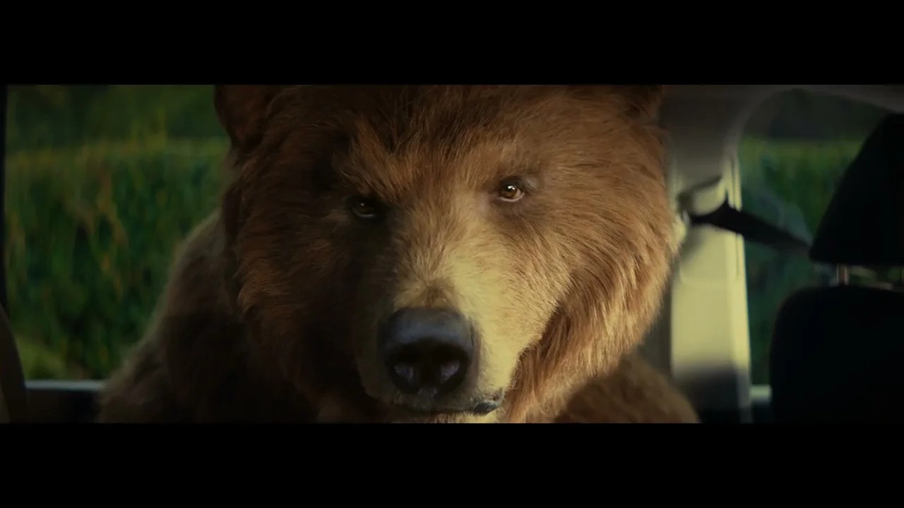 BEAR Yoyos - End The Nonsense.jpeg