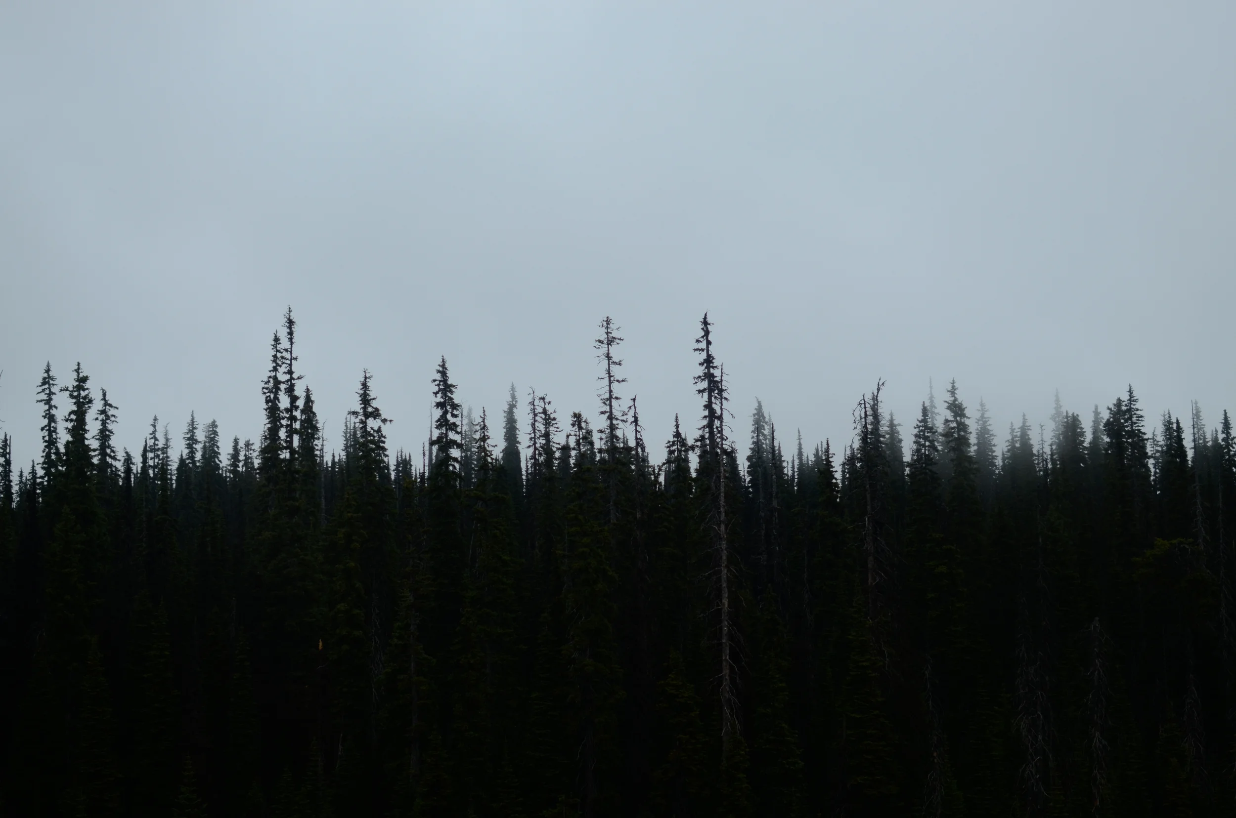 15_exit_thunderbay-6078.jpg