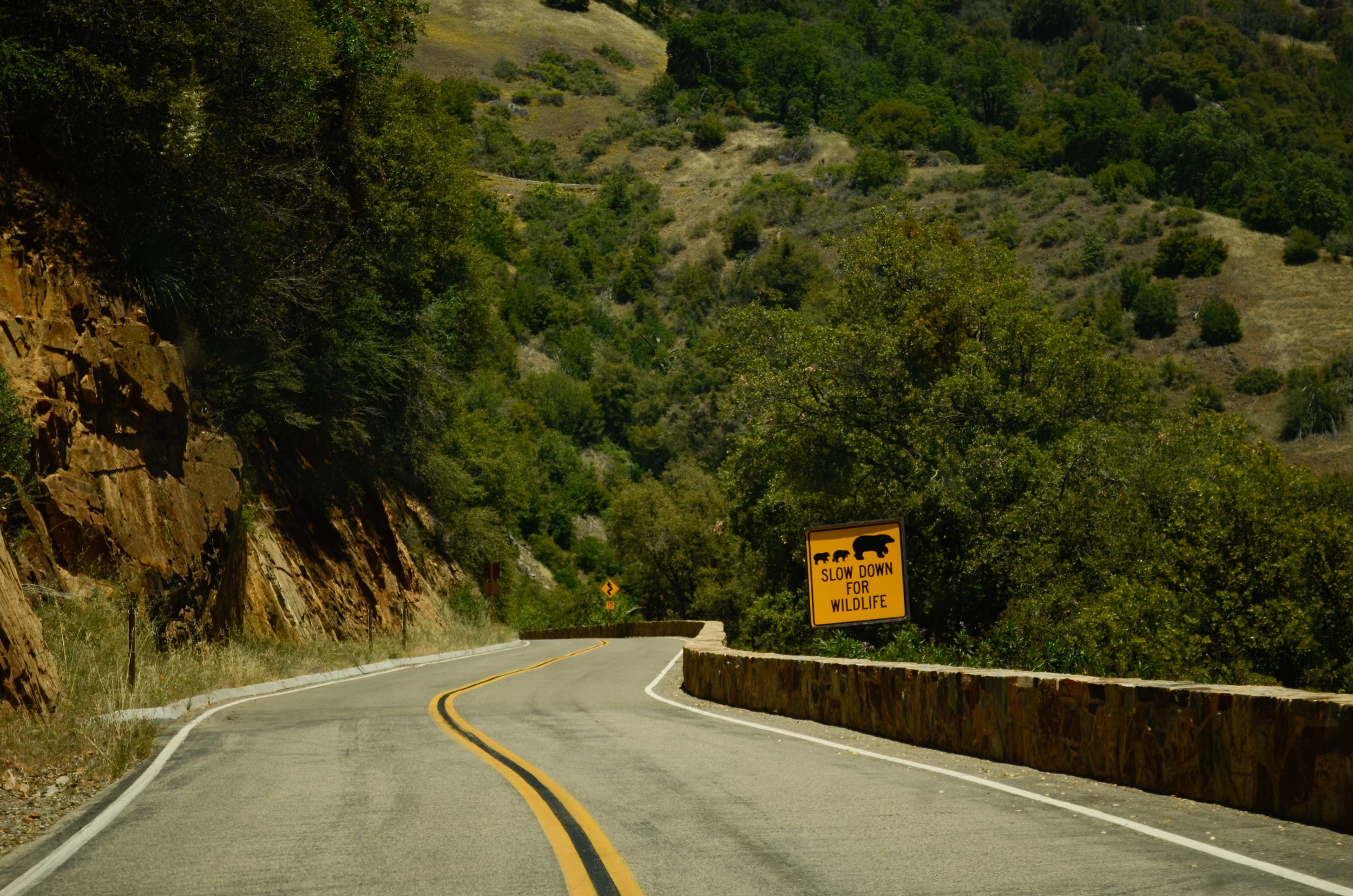 newroad-7840.jpg